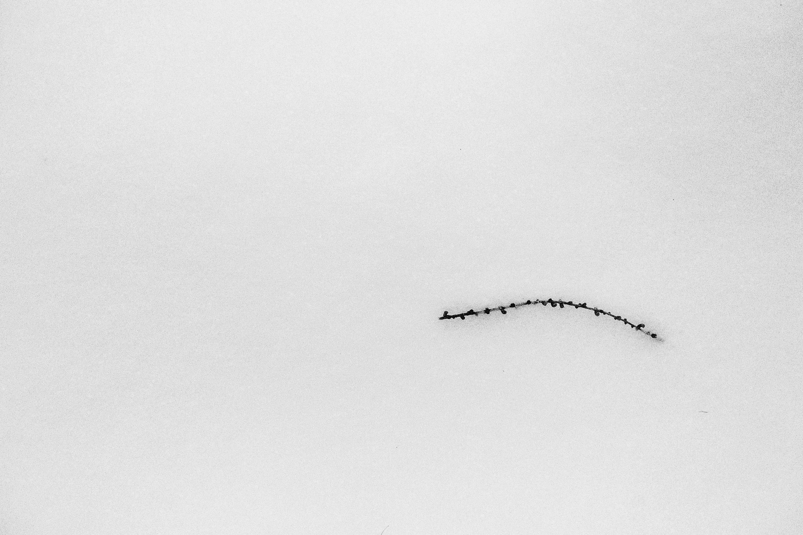 Снег в Москве. Портретный и архитектурный фотограф в Москве и Санкт-Петербурге