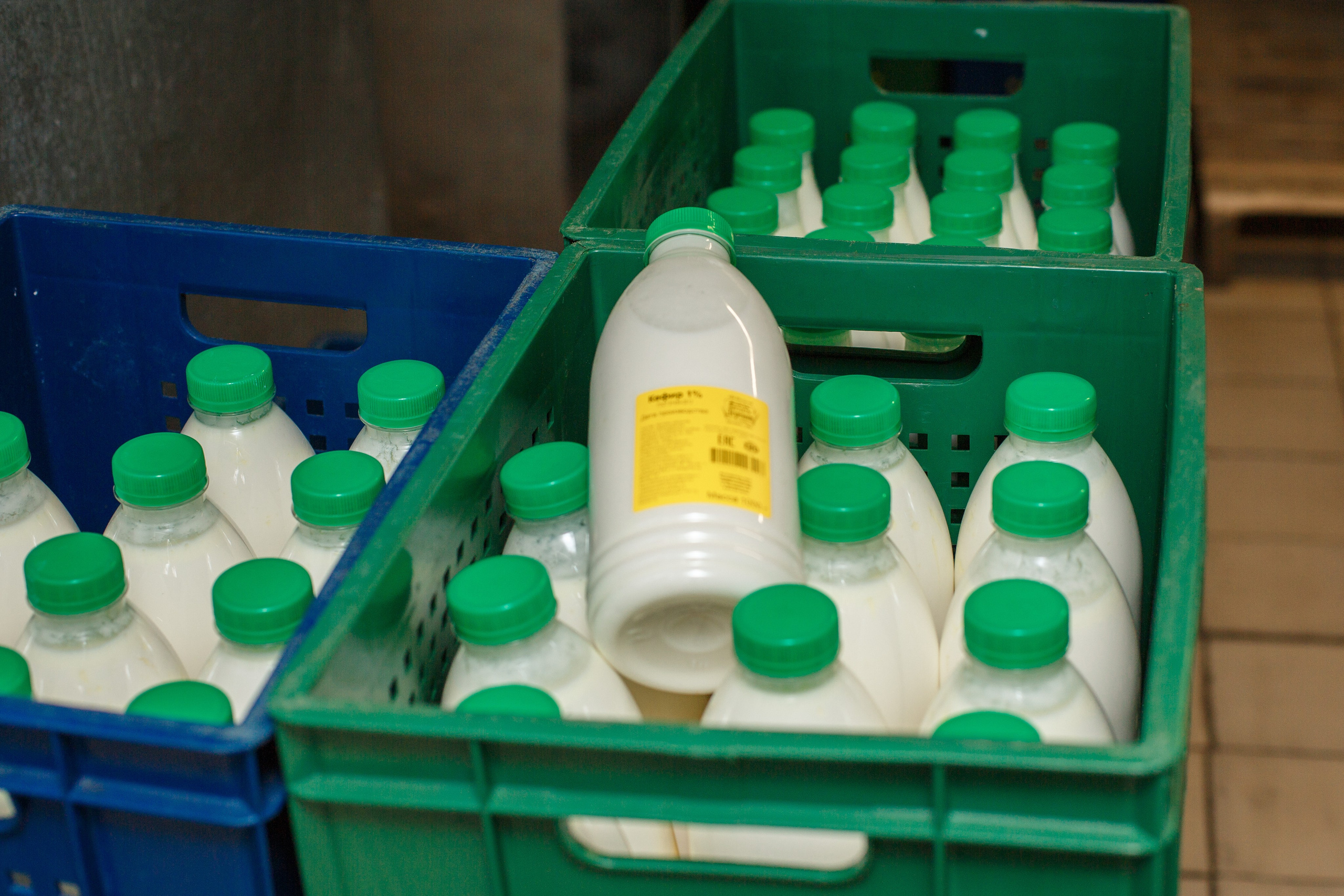 Шатурский Агропромышленный комбинат. Деловая и Бизнес съемка в  Москве Инесса Грушко