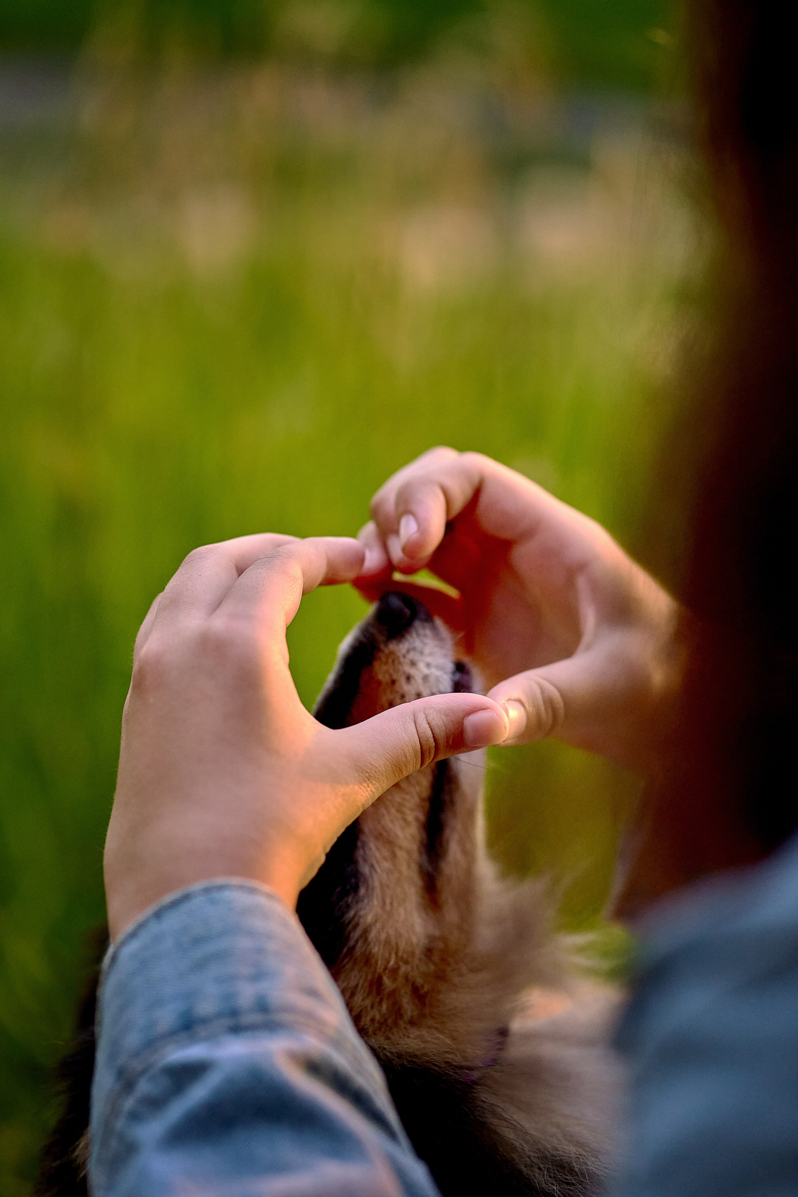 Обо мне. Фотограф-анималист в Иркутске