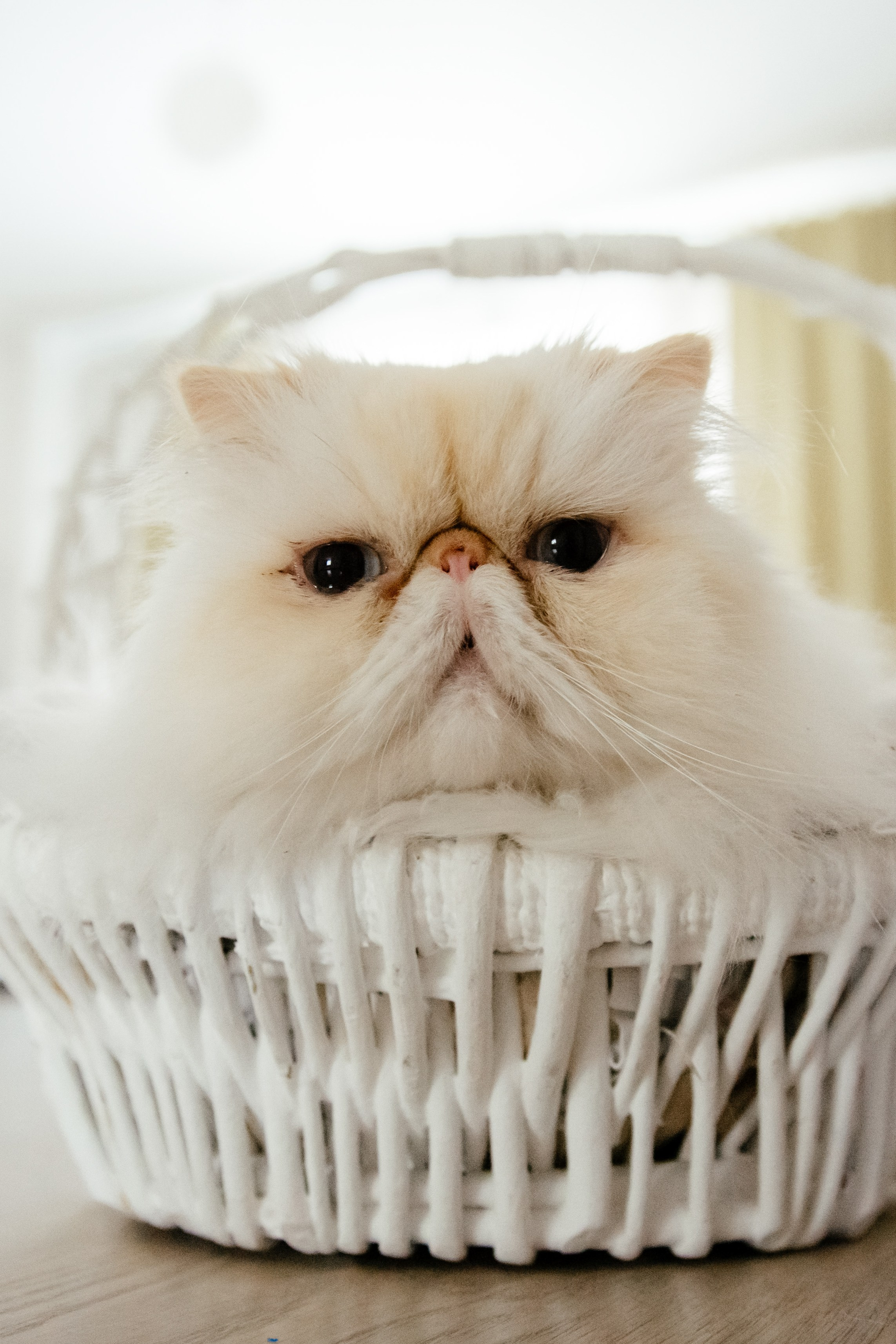 Евгений и Татьяна. Фотограф в Красноярске