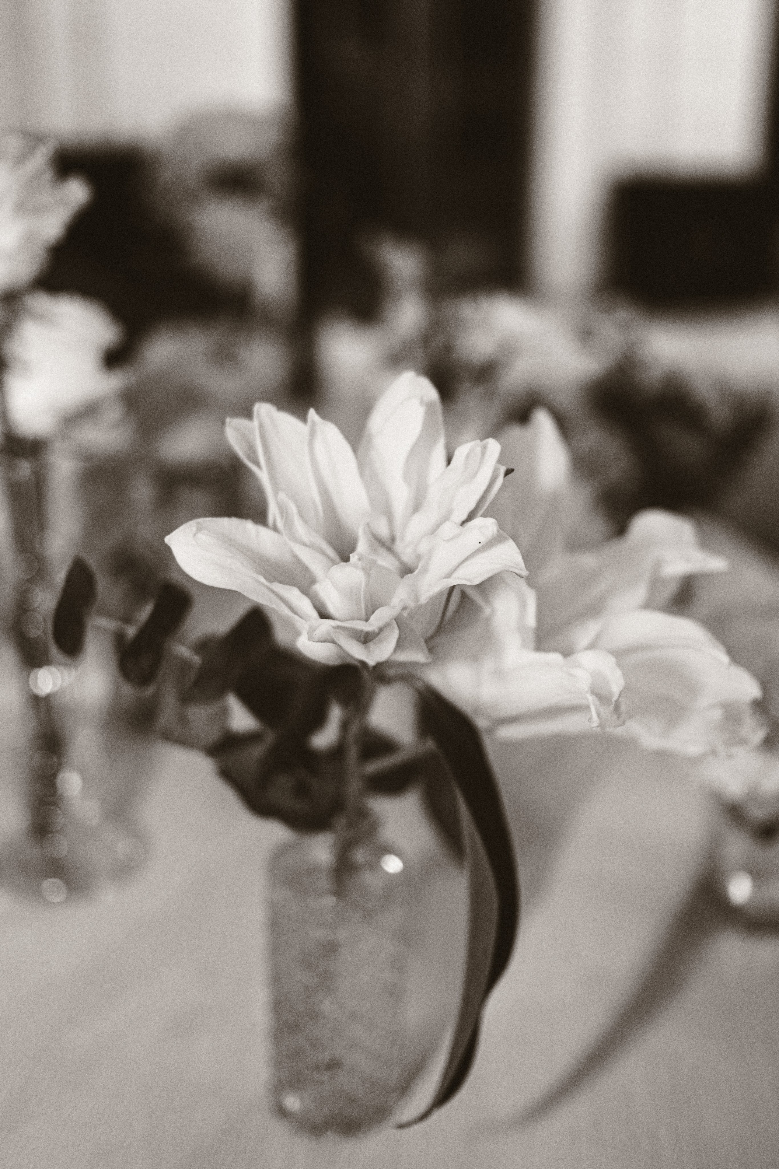 D & E. Photographer Tatiana Kvasha