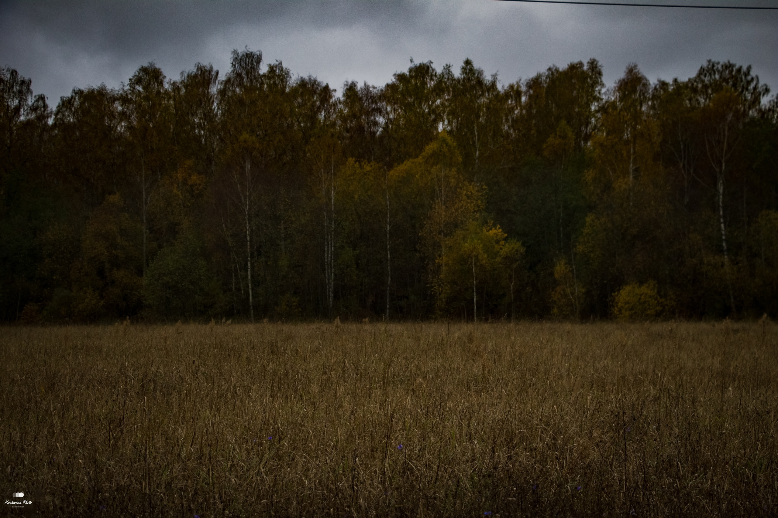 Пейзажи и природа. Photographer K.A.D