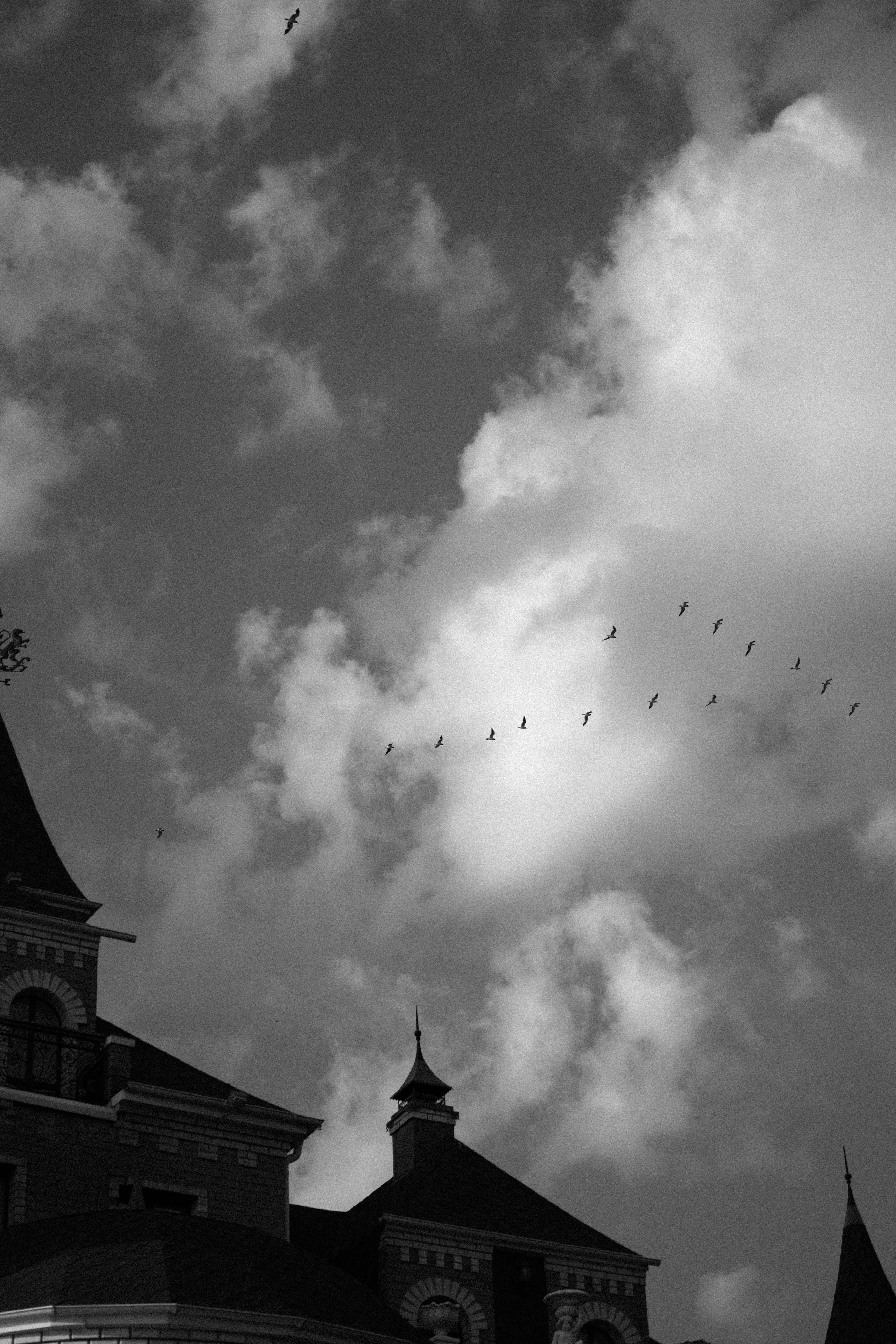 Ирина & Евгений. Yura Rush Свадебный фотограф Тюмень