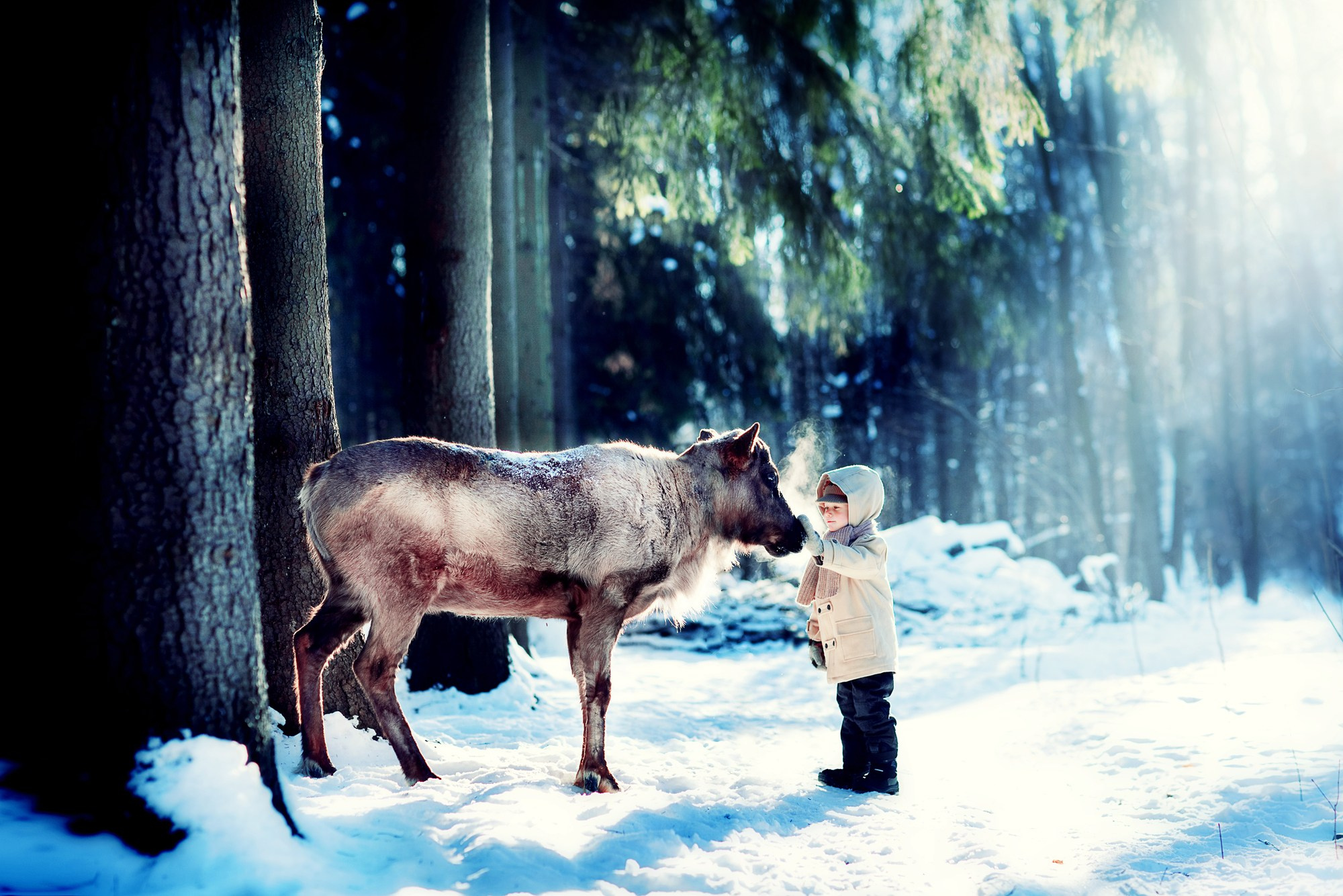 Портфолио. Карнеева Елена. Детский, семейный фотограф