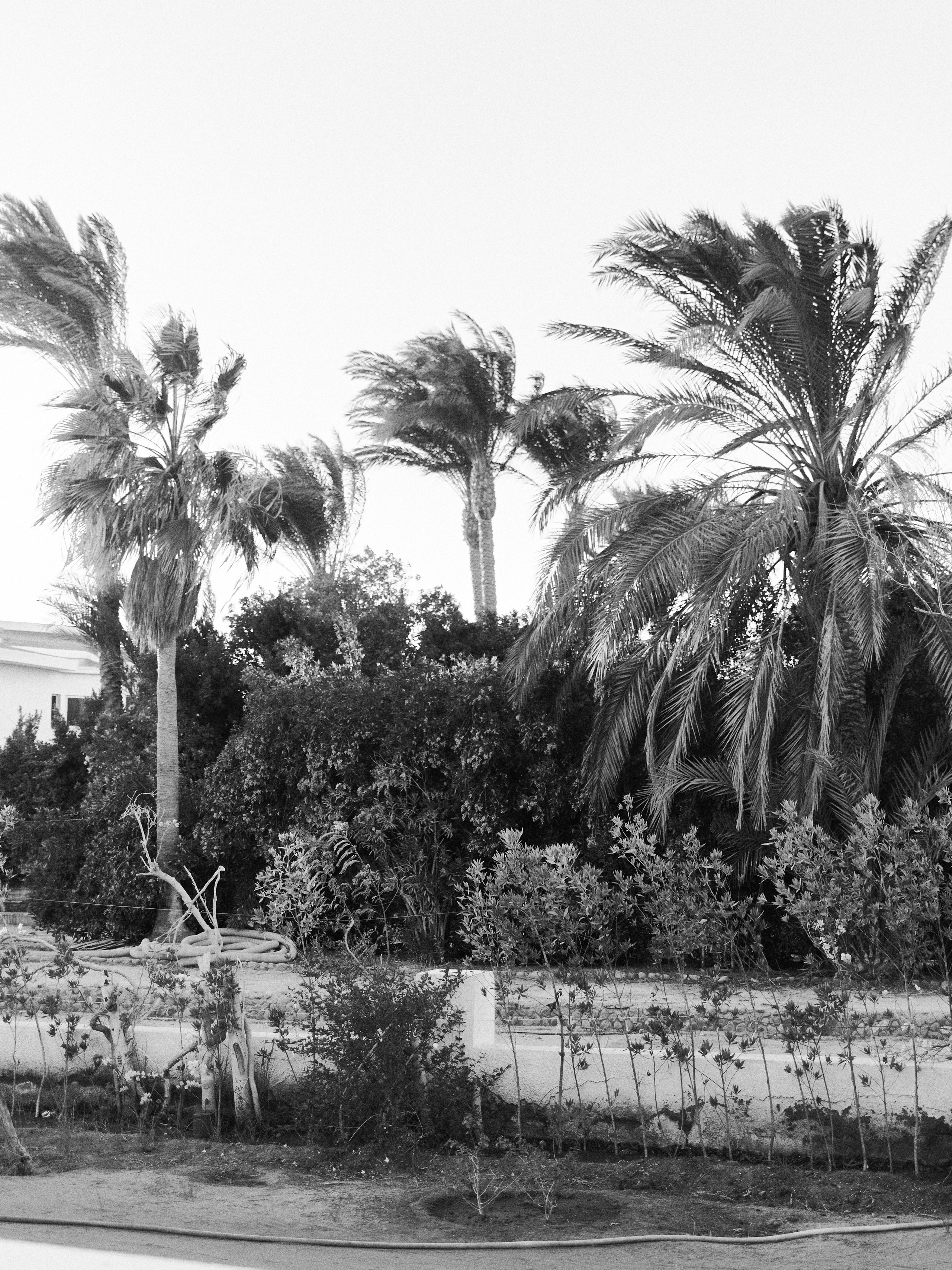 B&W. Jorgis — фотограф в Хургаде / обучение фотографии