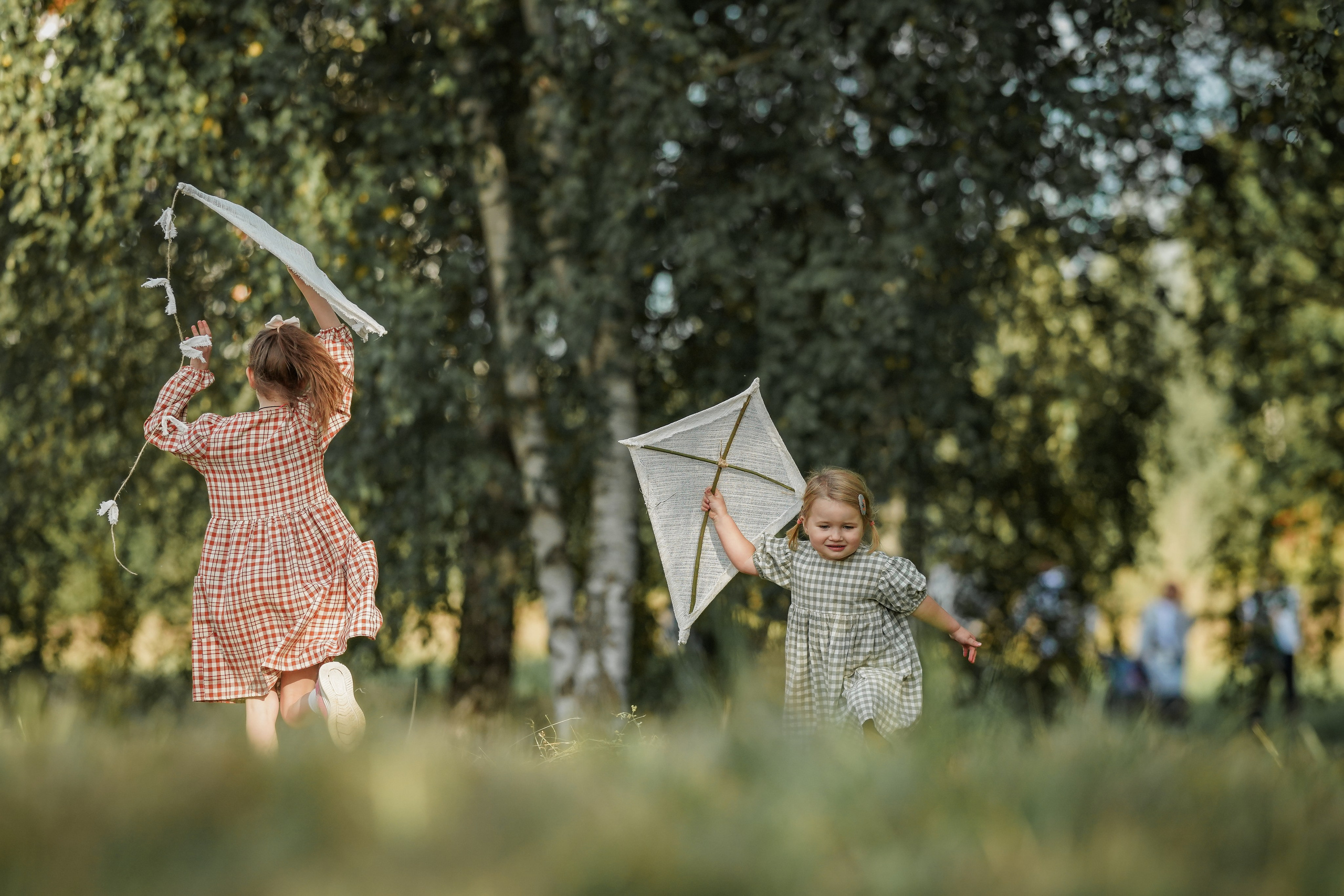 Воздушный змей. Семейный фотограф Ефремова Виктория