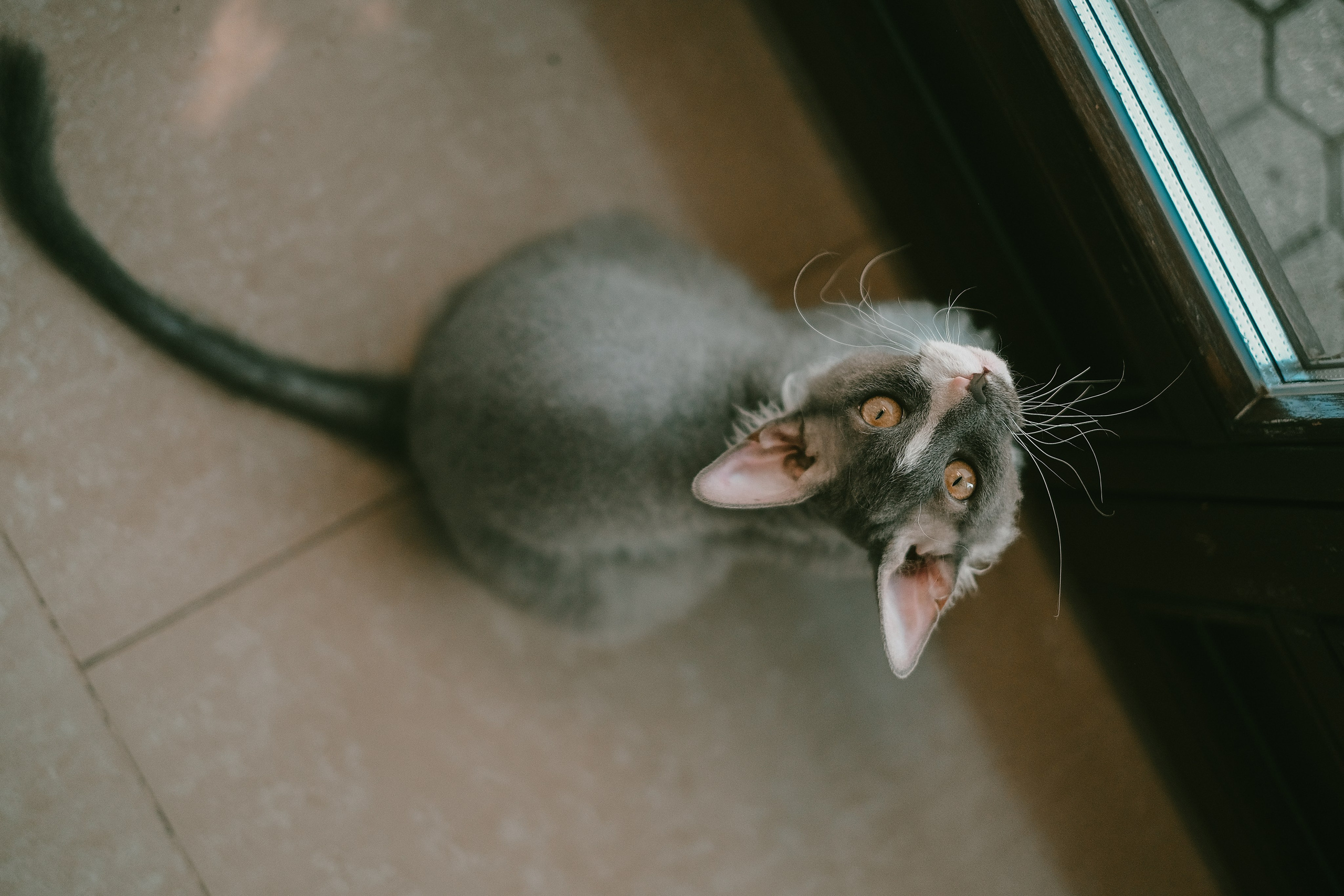 Ожидание. Фотограф и видеограф в Москве Полина Абраменкова