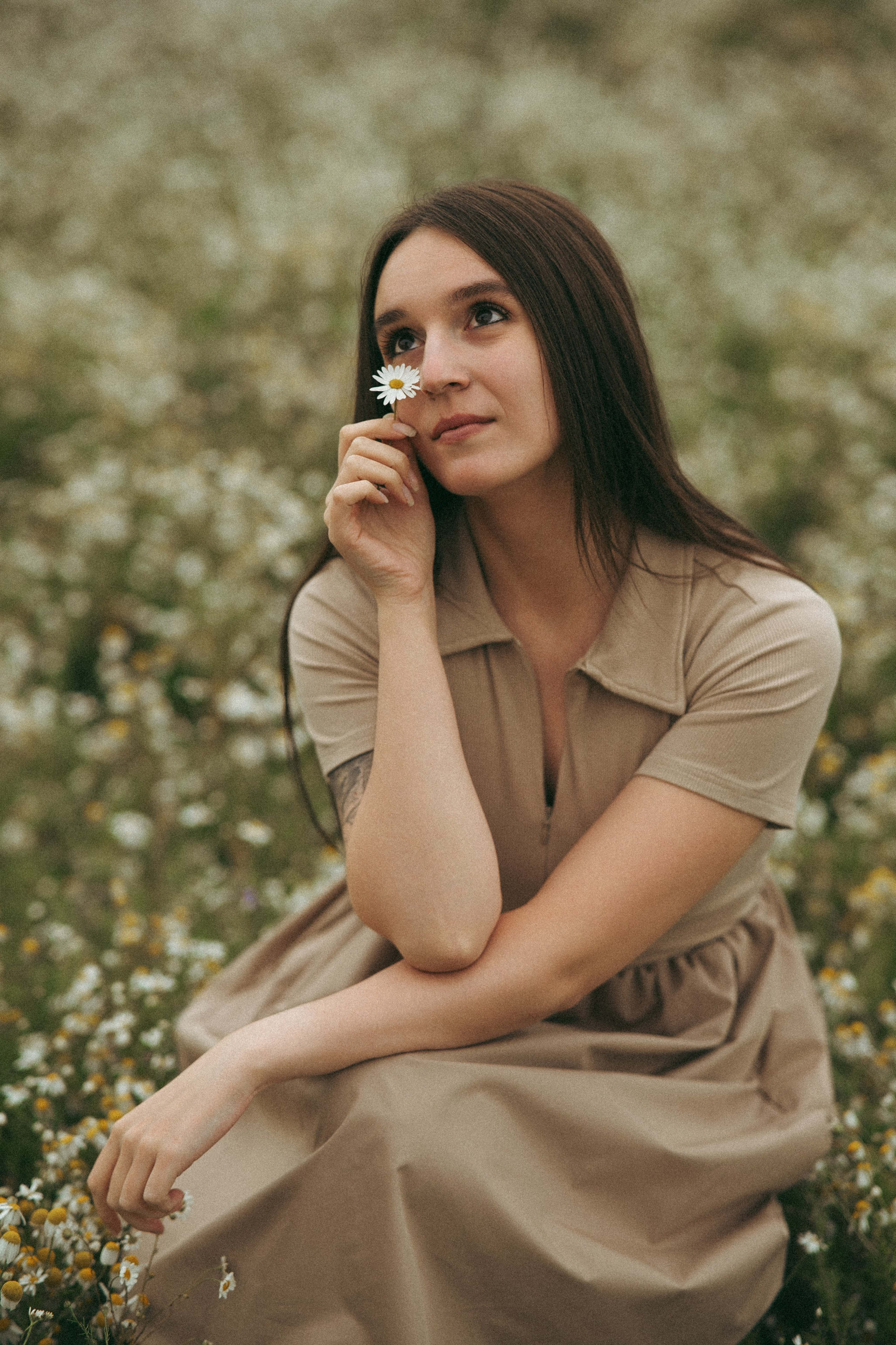 Ромашки. Фотограф Мария Зайчик