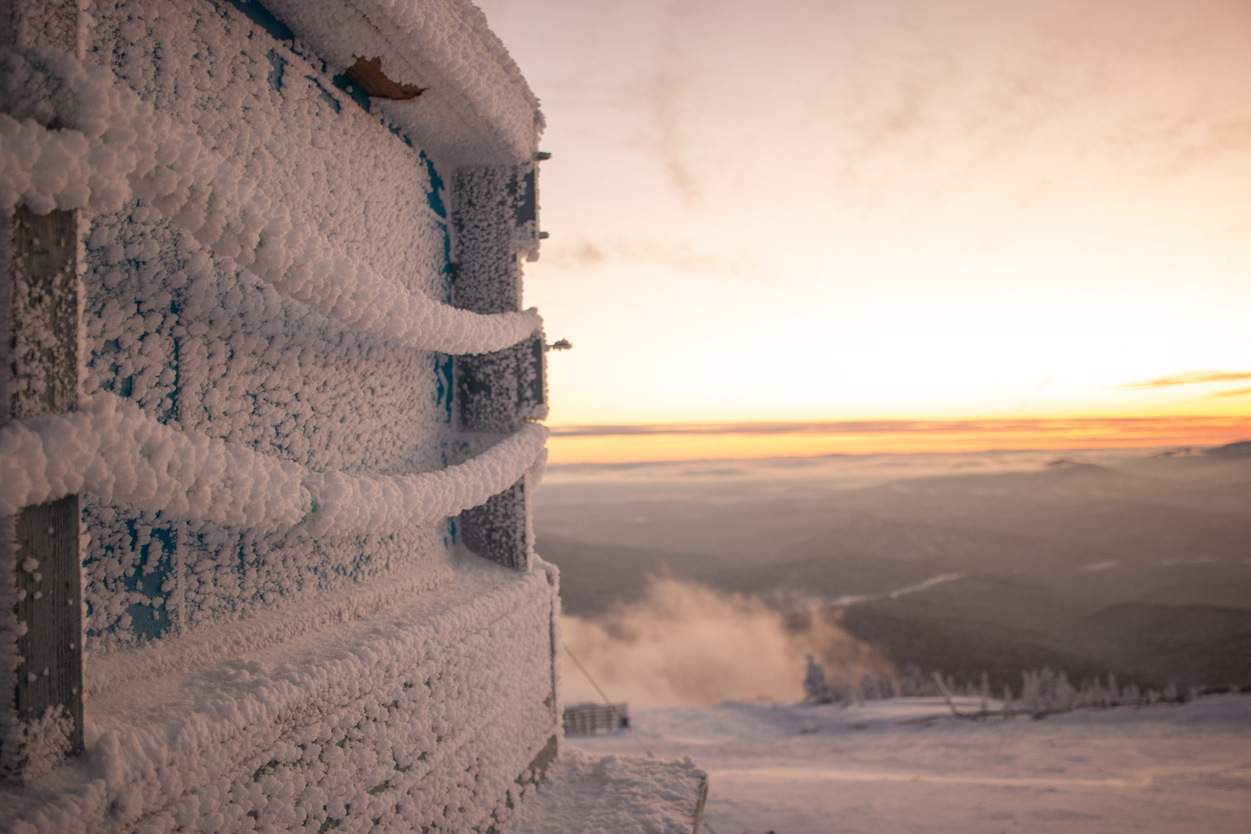 Татьяна и Иван. Свадебный и семейный фотограф в Новокузнецке Иван Иванов