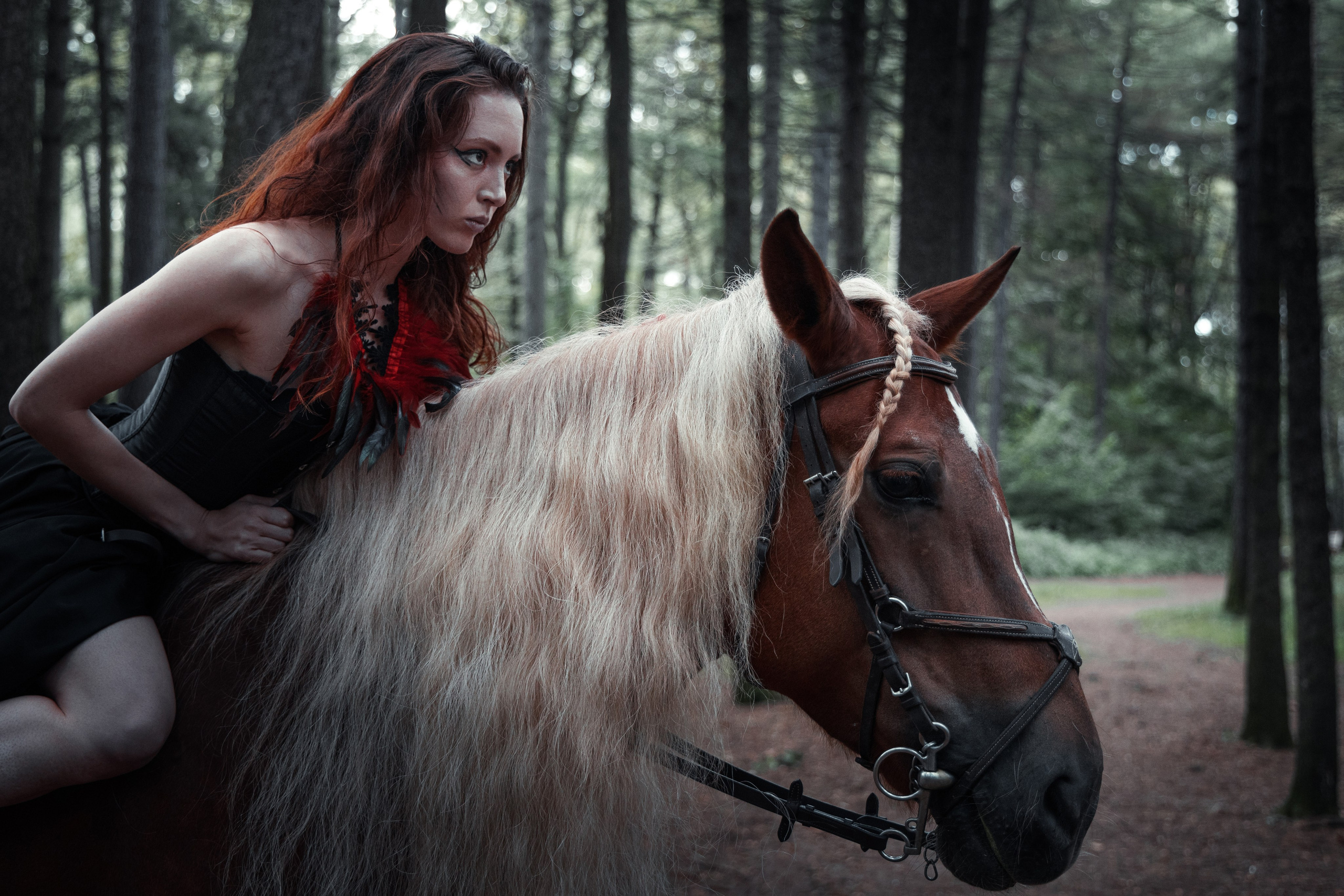 Портфолио. Фотограф в Москве Ковальчук Елена