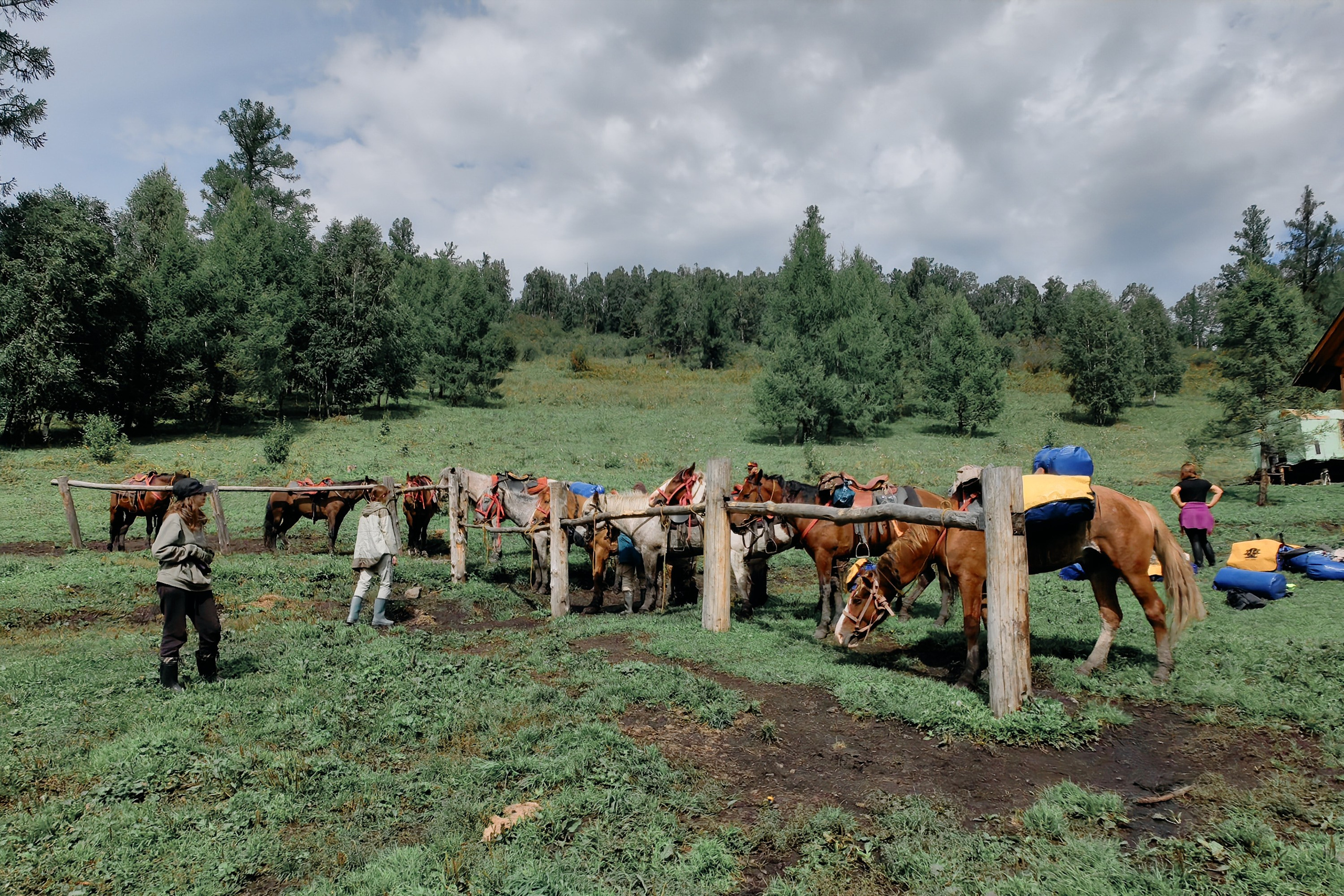 Алтай. Юрий Березнюк. Фотожурналистика