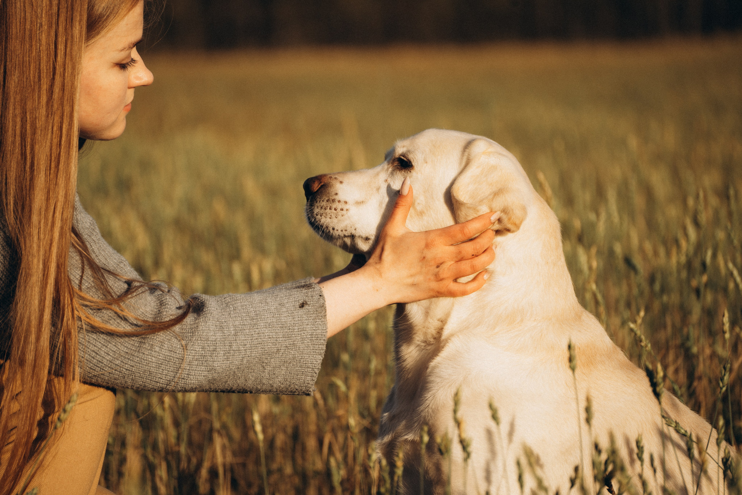 Дана и Арчи. Фотограф-анималист Анастасия Большакова
