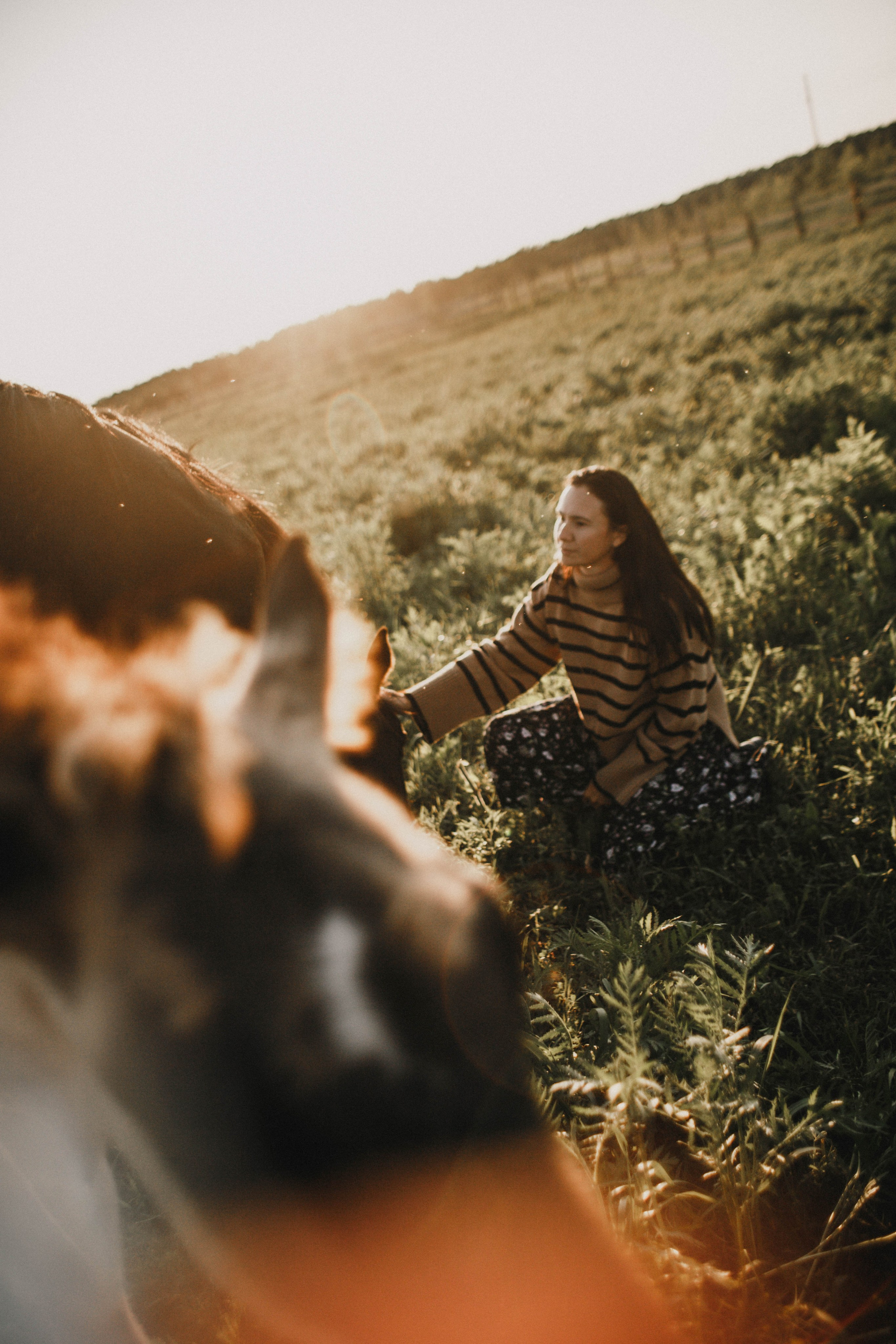 Варвара. Лошади. Закат. Фотограф в Нижнем Новгороде