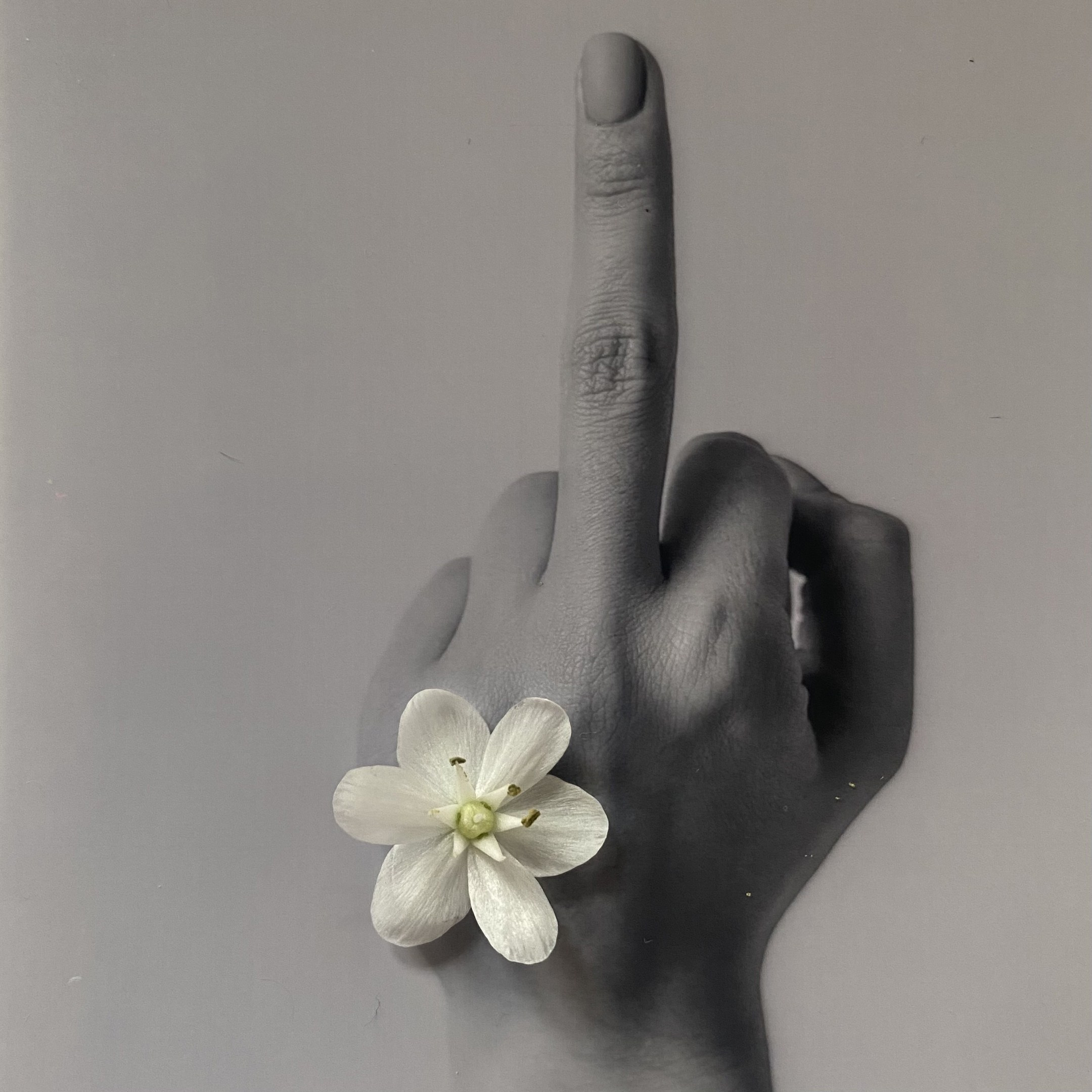 Эстетизация повседневности. Маша Иванова —