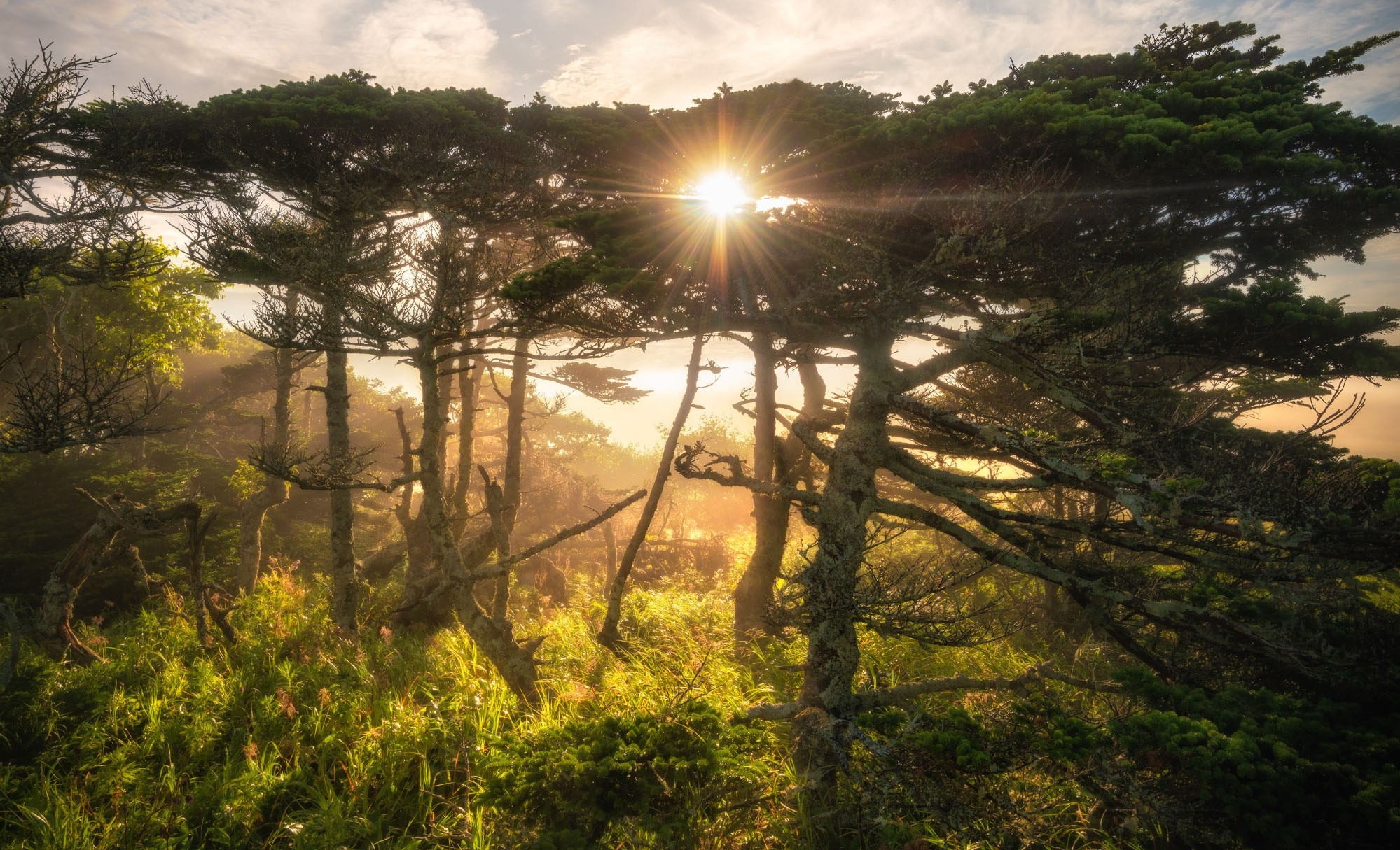 Фотографии южные Курилы
