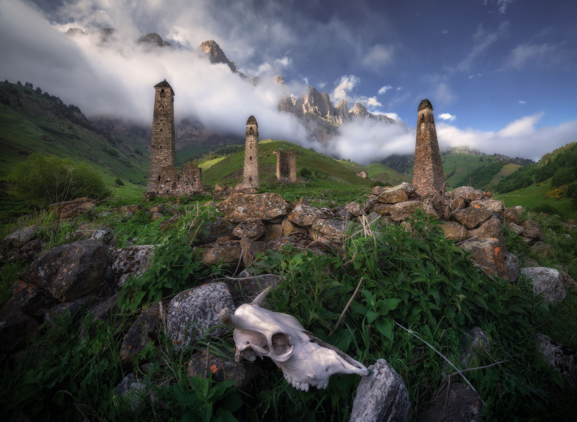 Фотографии Ингушетия