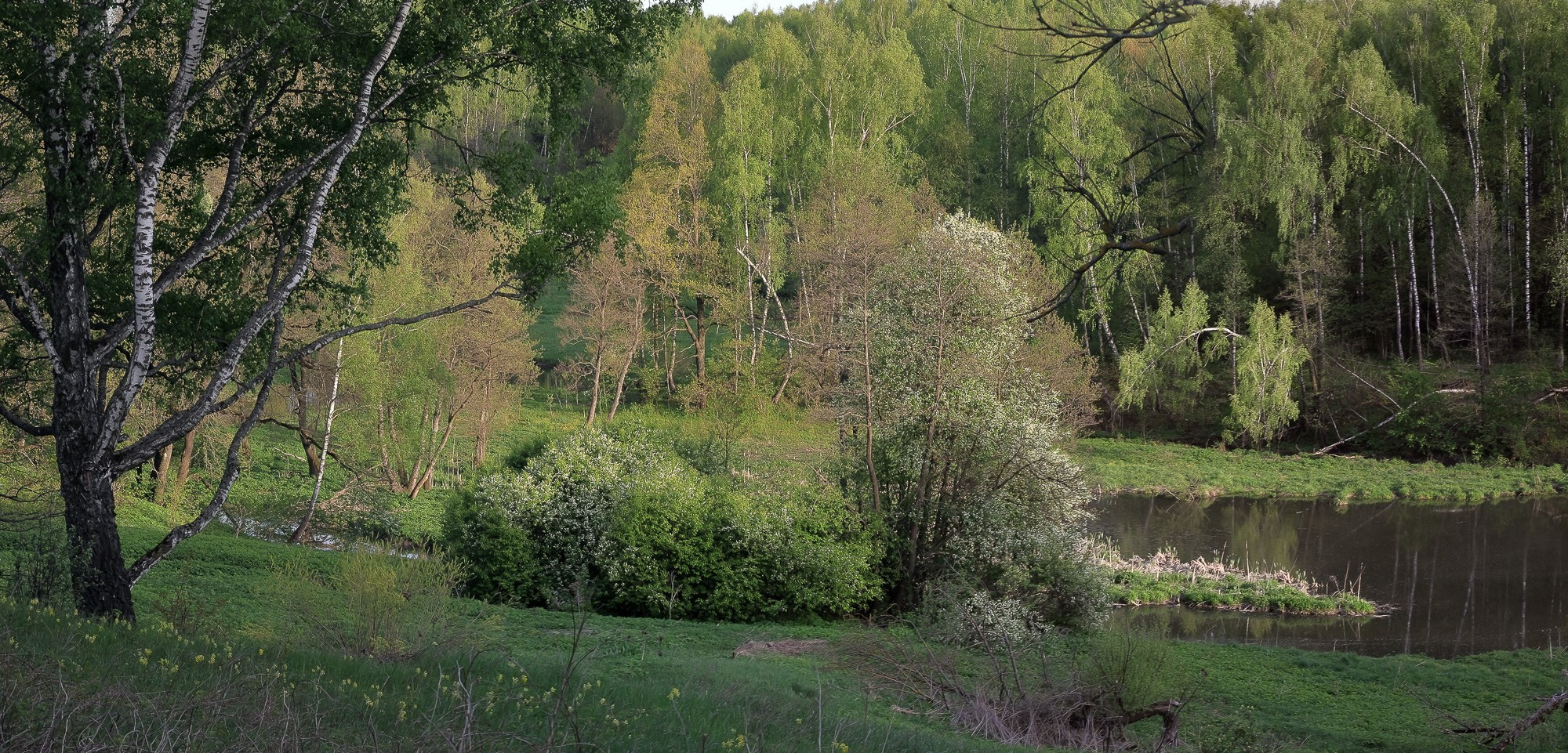 Склон берега на реке Жданка