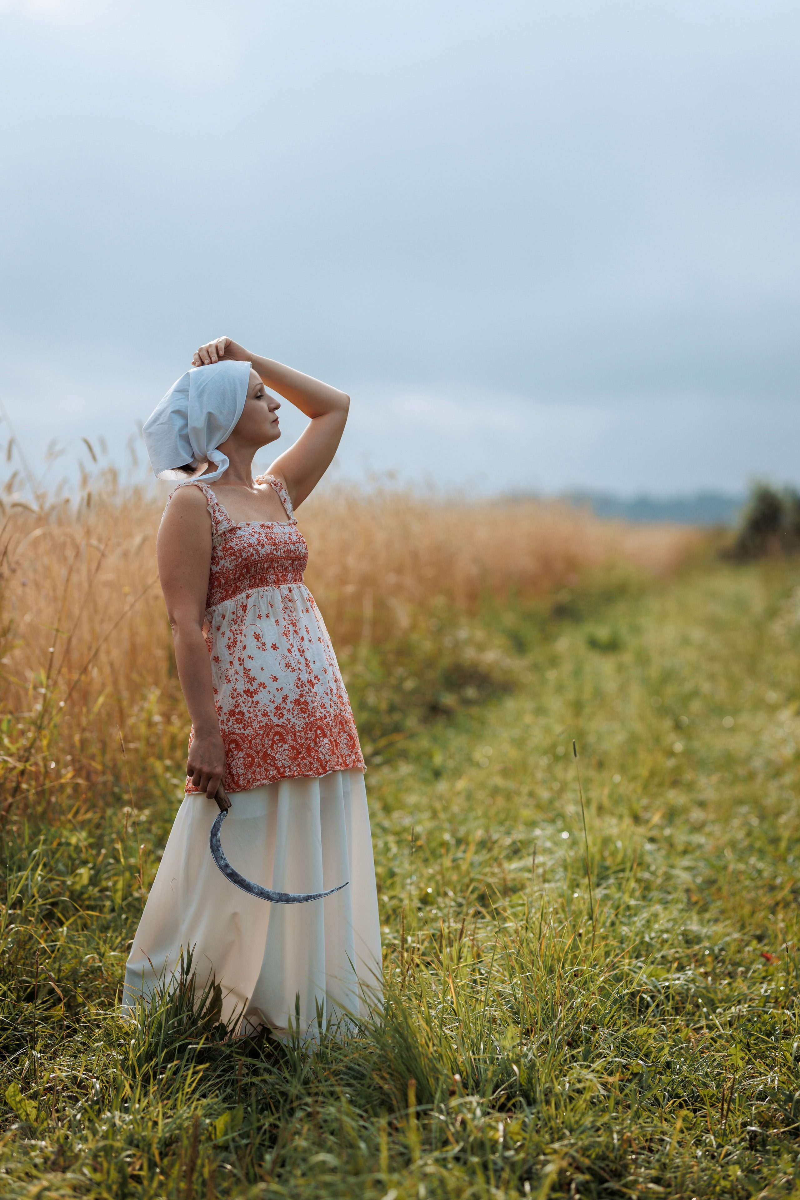 2025-08-10. Пшеничное поле