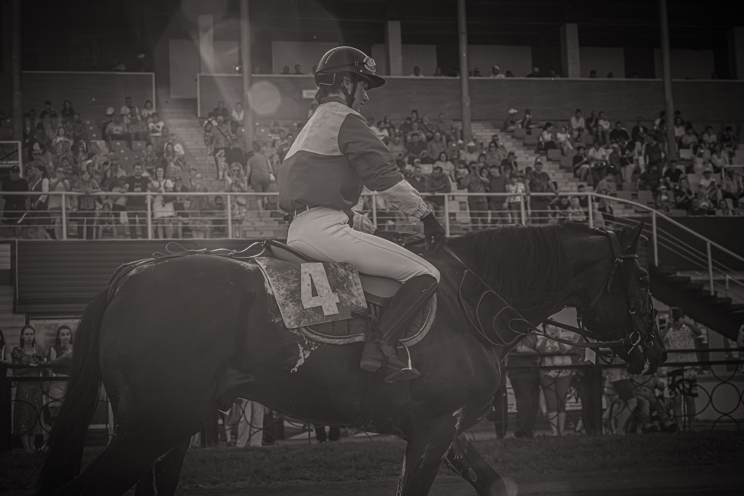 Рысистые бега. Главная