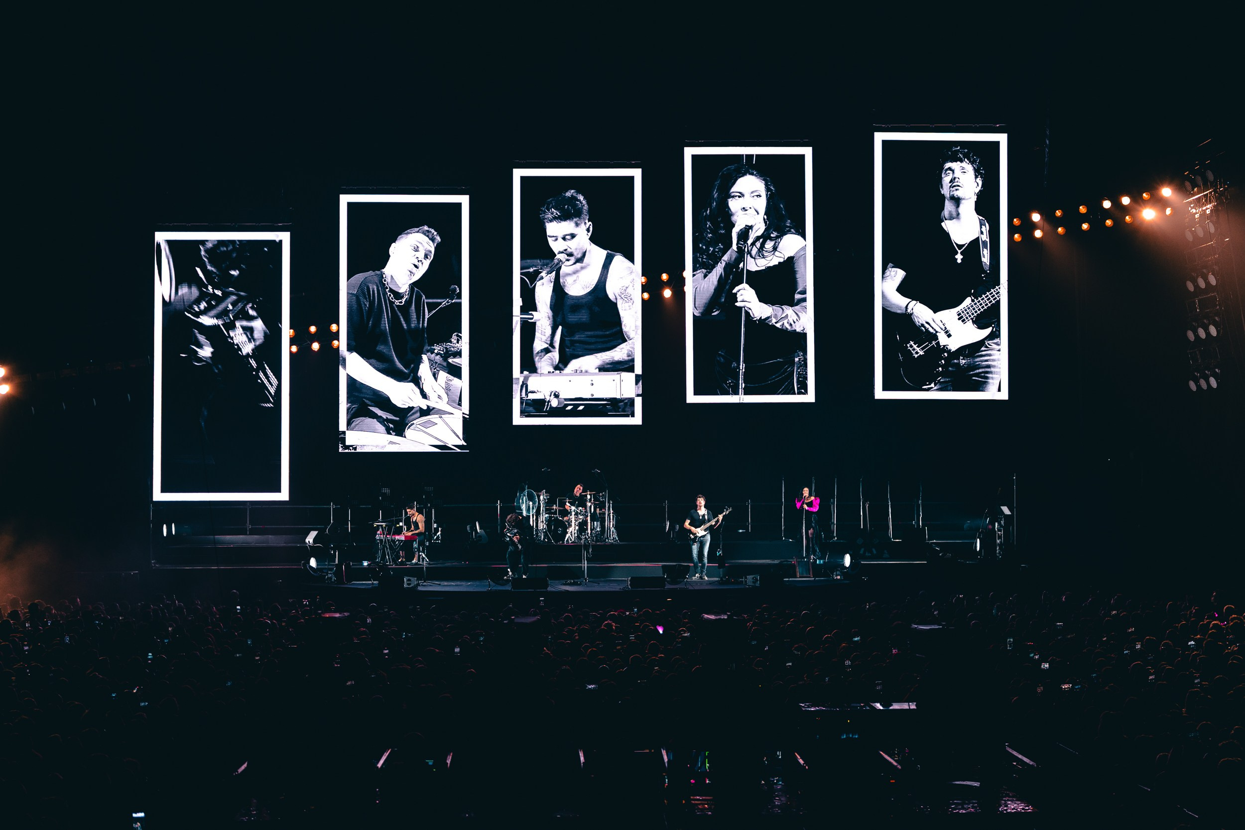 The Hatters. Магия музыки в кадре: Концертная Фотография