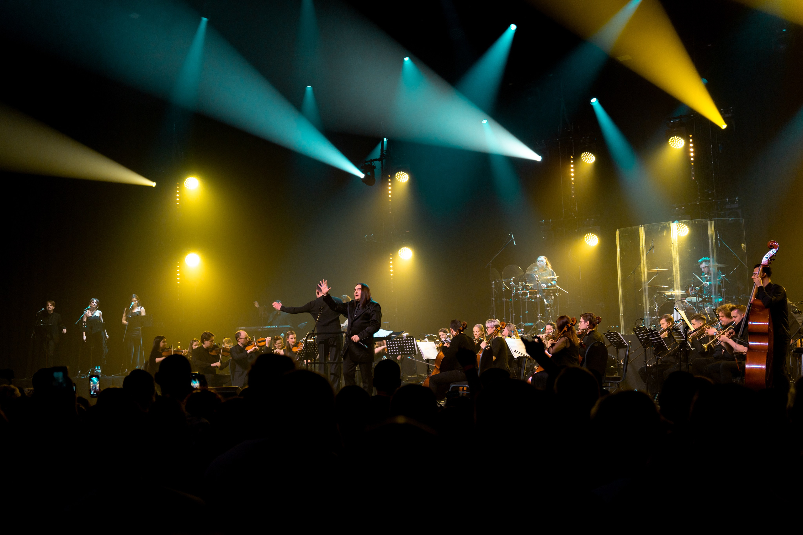 Алексей Горшенёв. Магия музыки в кадре: Концертная Фотография