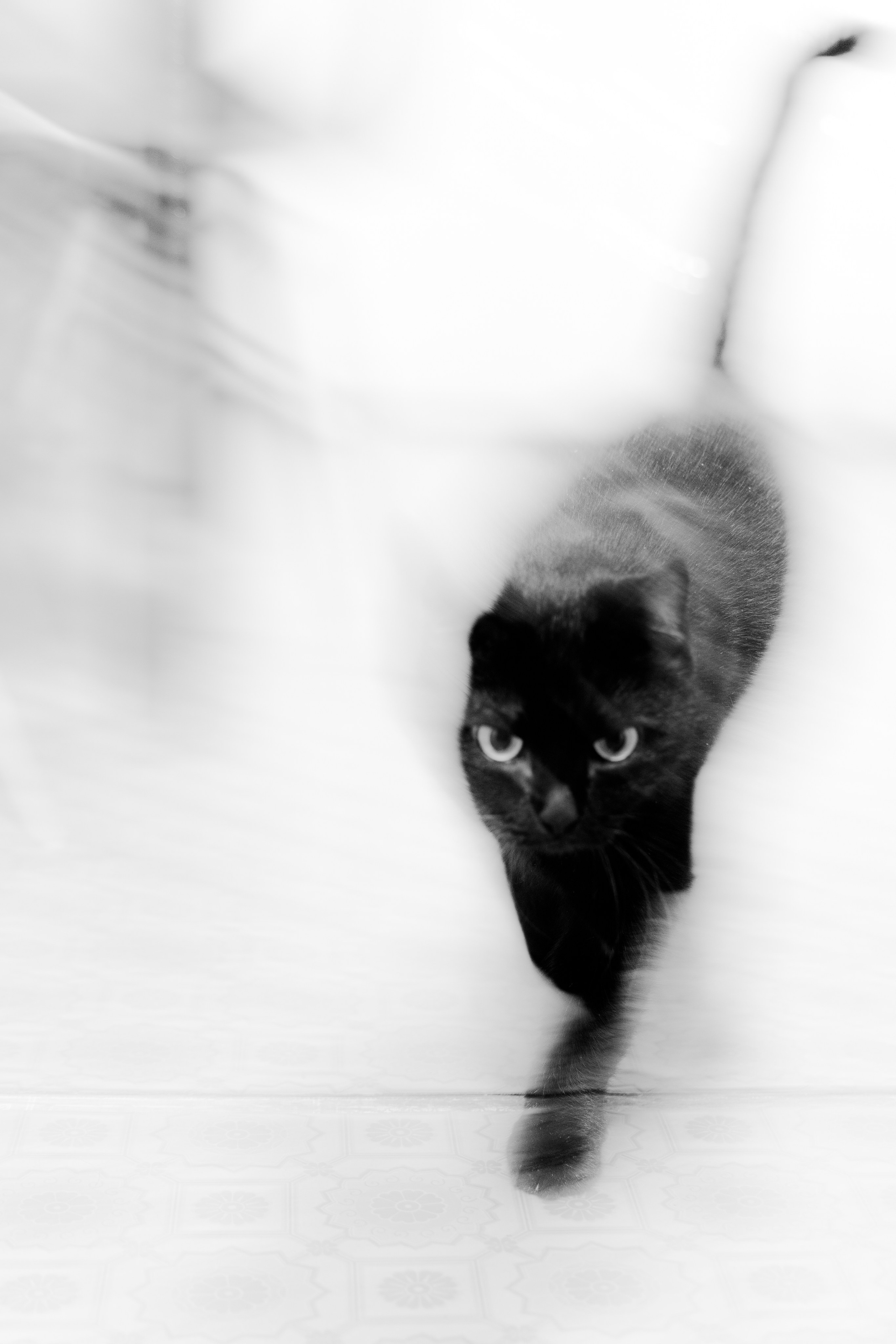 Услуги. Фотограф Братск Юлий Дежин