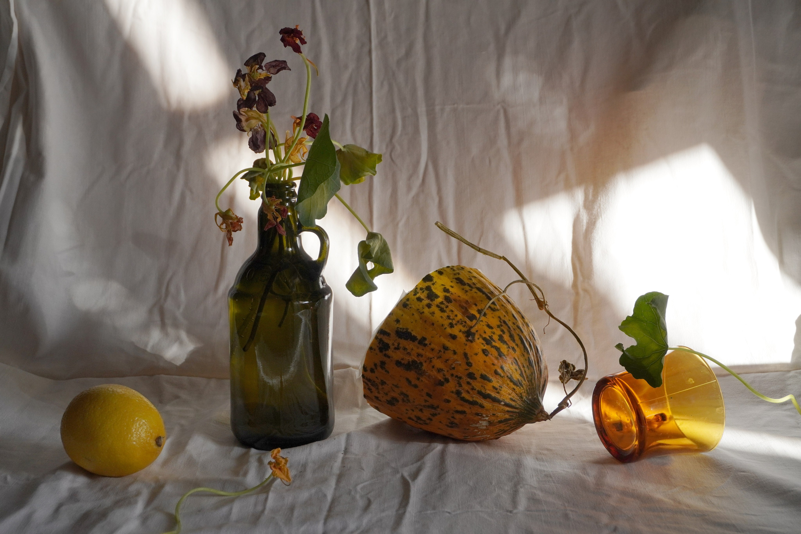 Натюрморт. Настасья Проценко. Фотограф