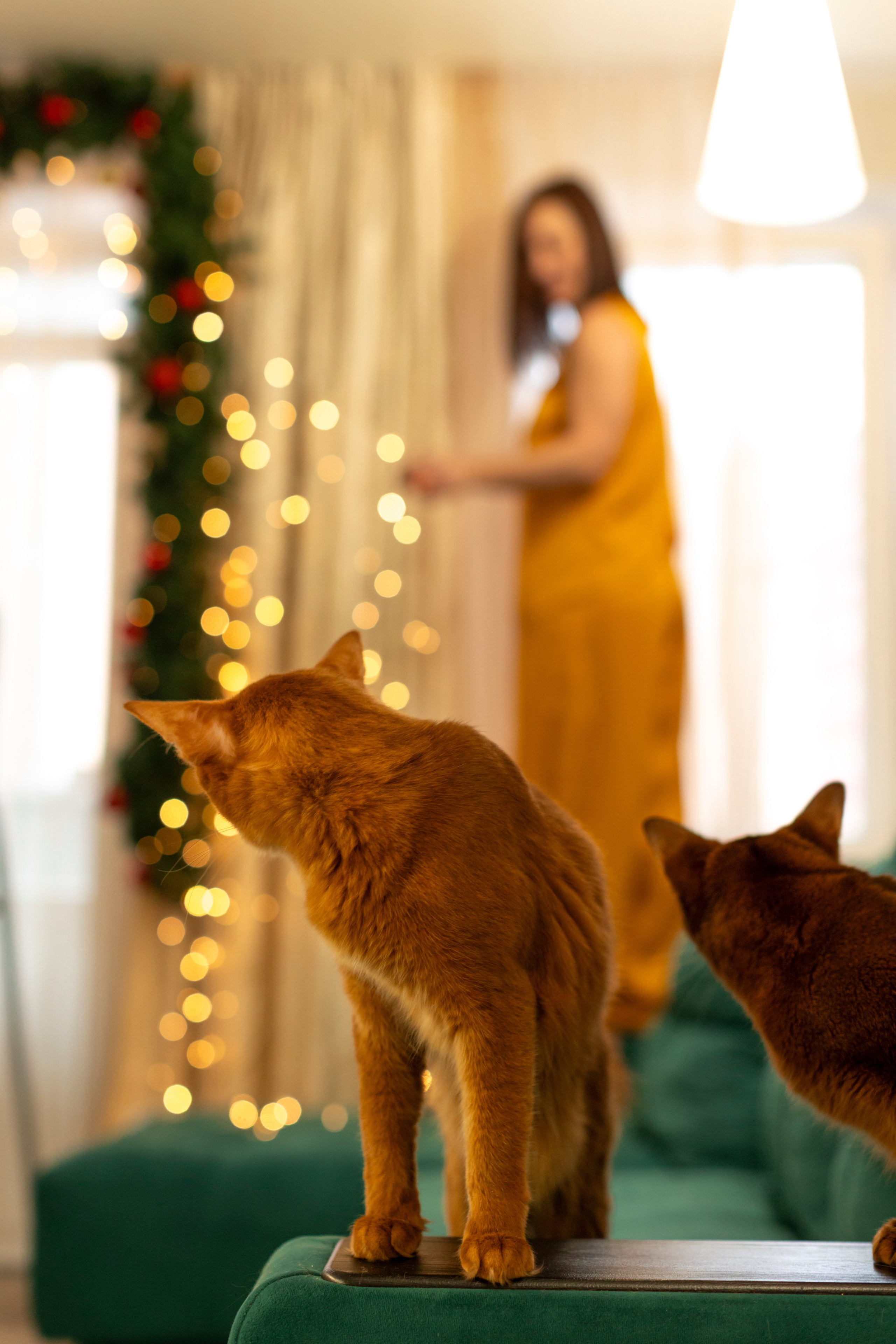 Сомали. Art my Pho