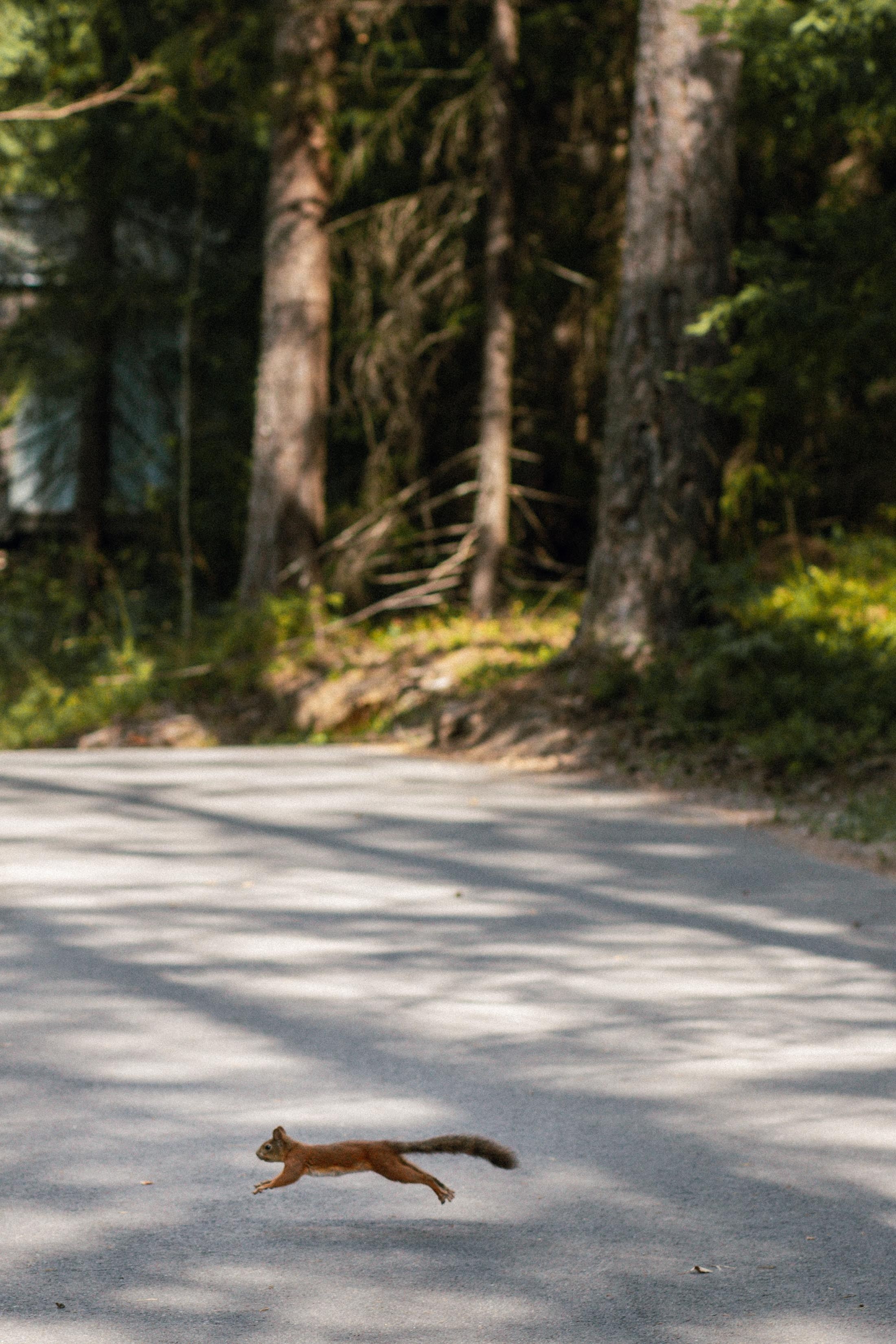 K & О. Свадебный фотограф Юлия Шторм