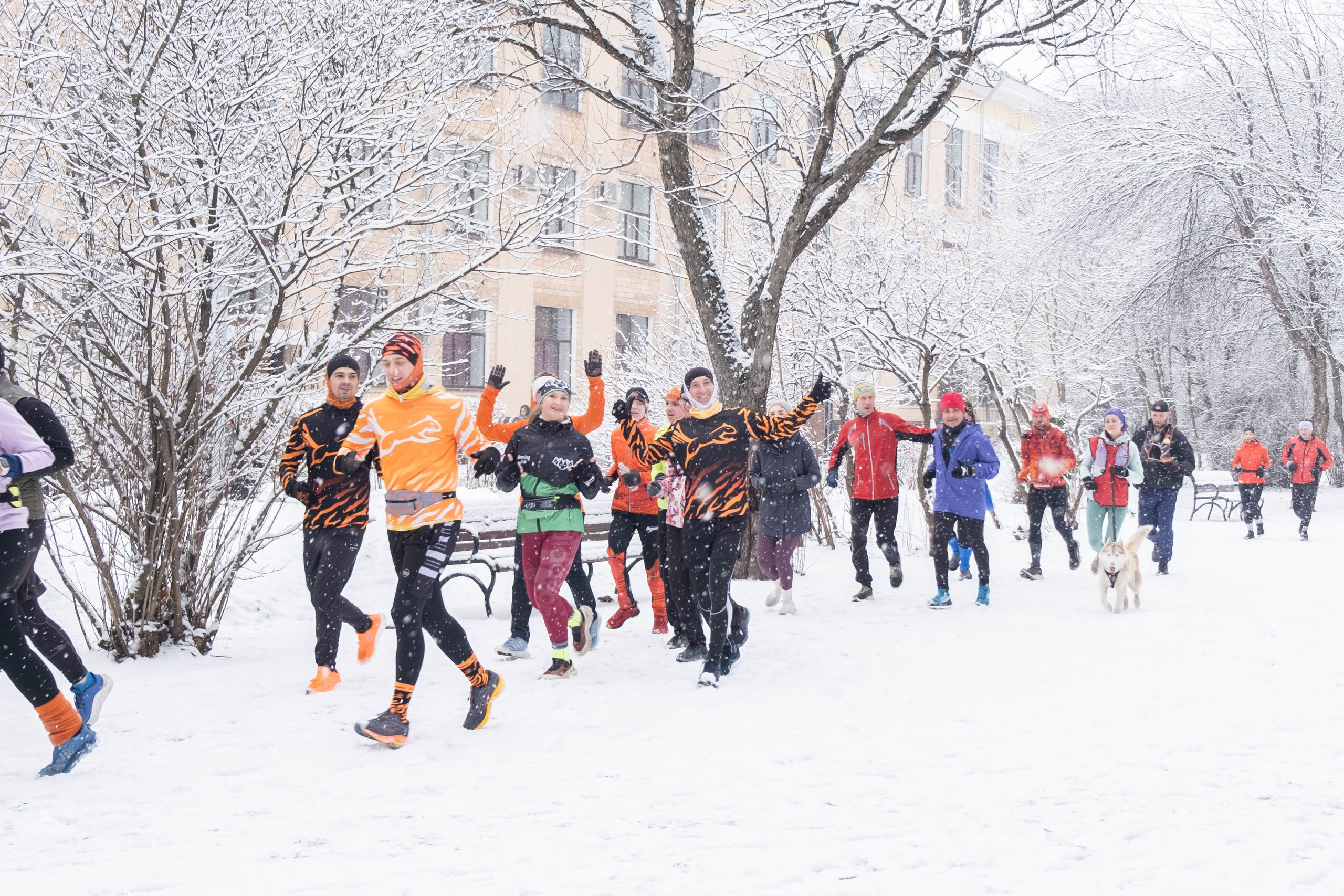 Репортажная съемка. Фотограф Диана Иремадзе
