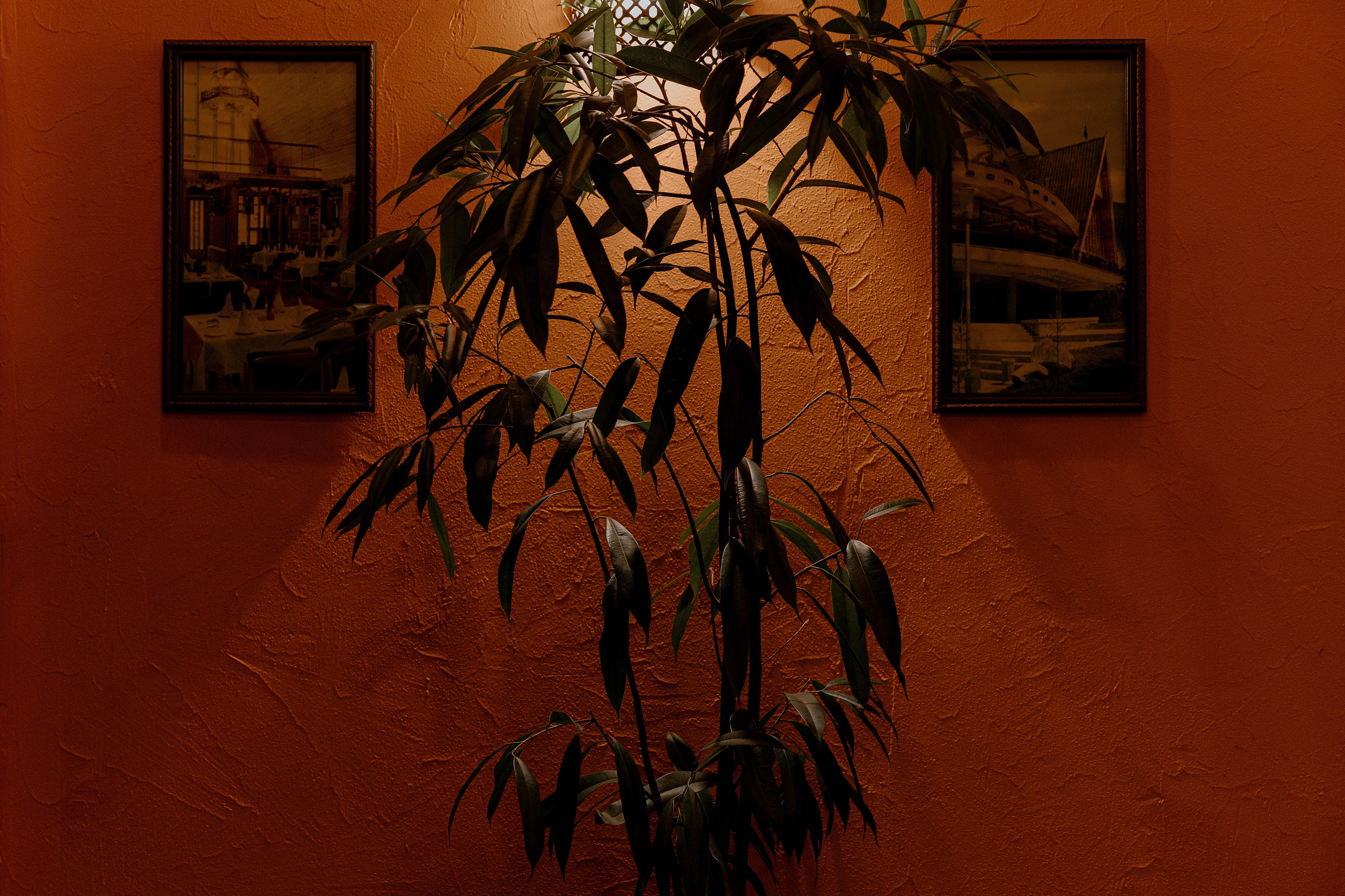 YEVGENIY & SALTANAT. Фотограф: Корнаковский А.Т