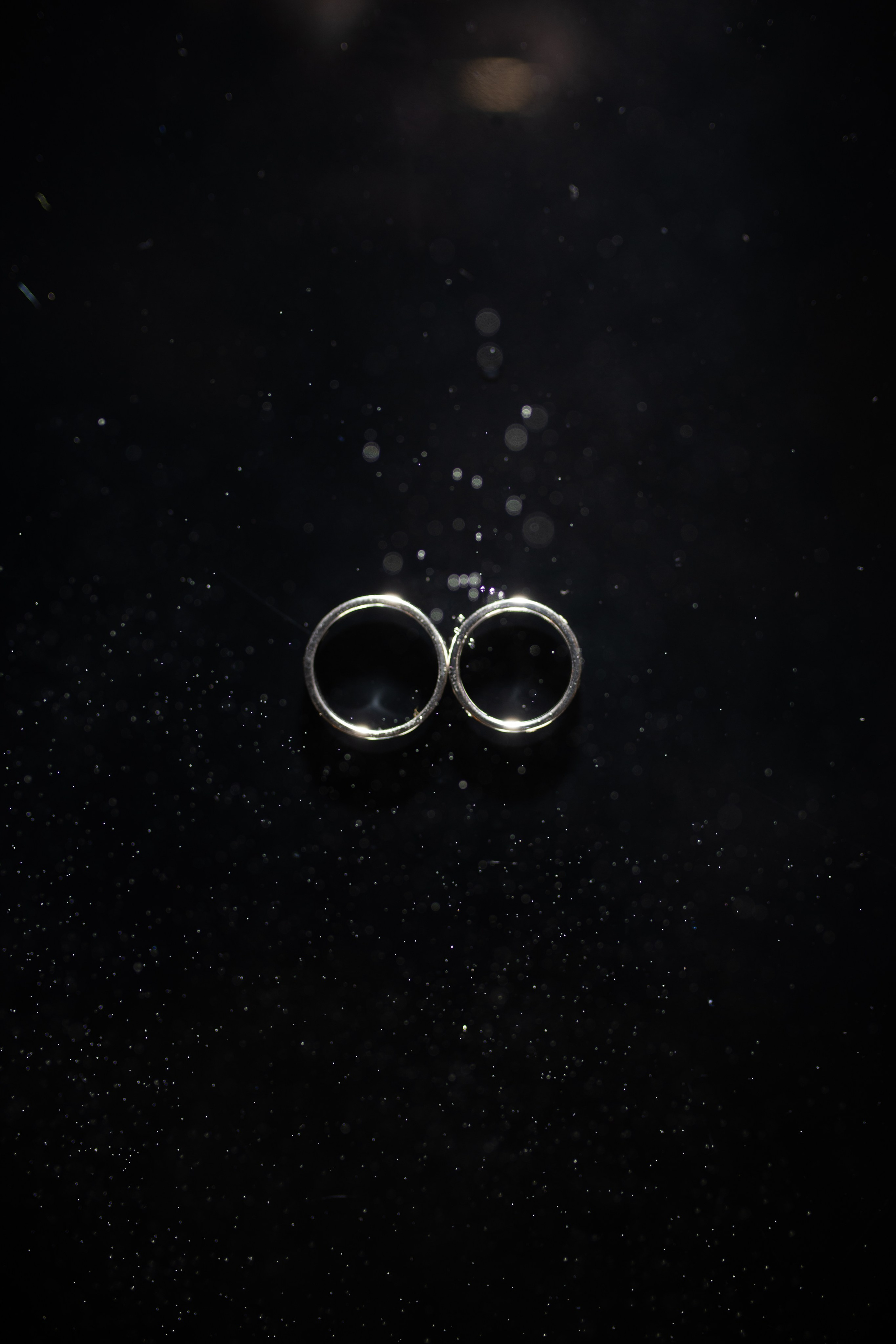 Евгений & Людмила. Свадебный и семейный фотограф Москва