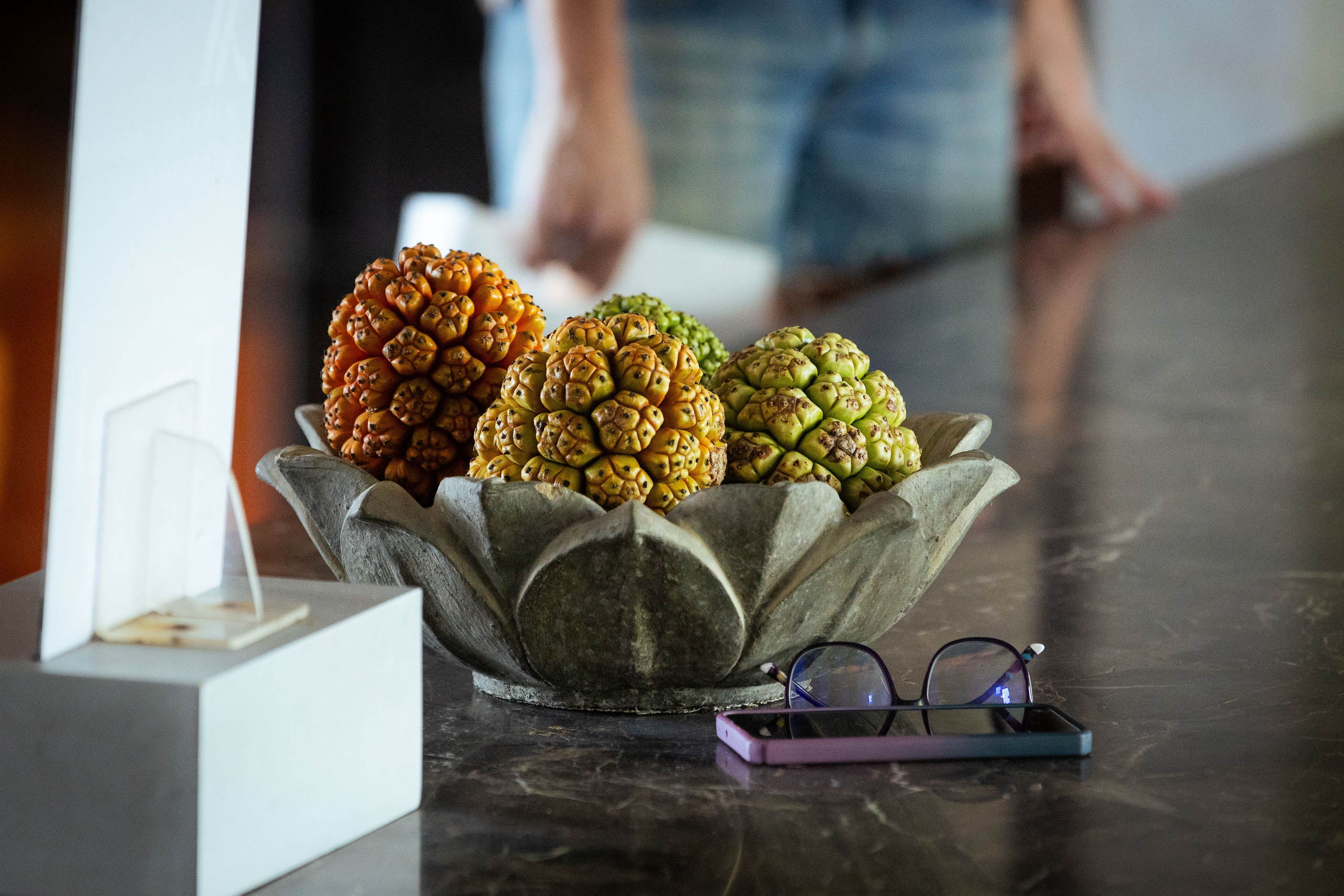 Шри-Ланка (весна 2024). Фотограф Виноградов Константин