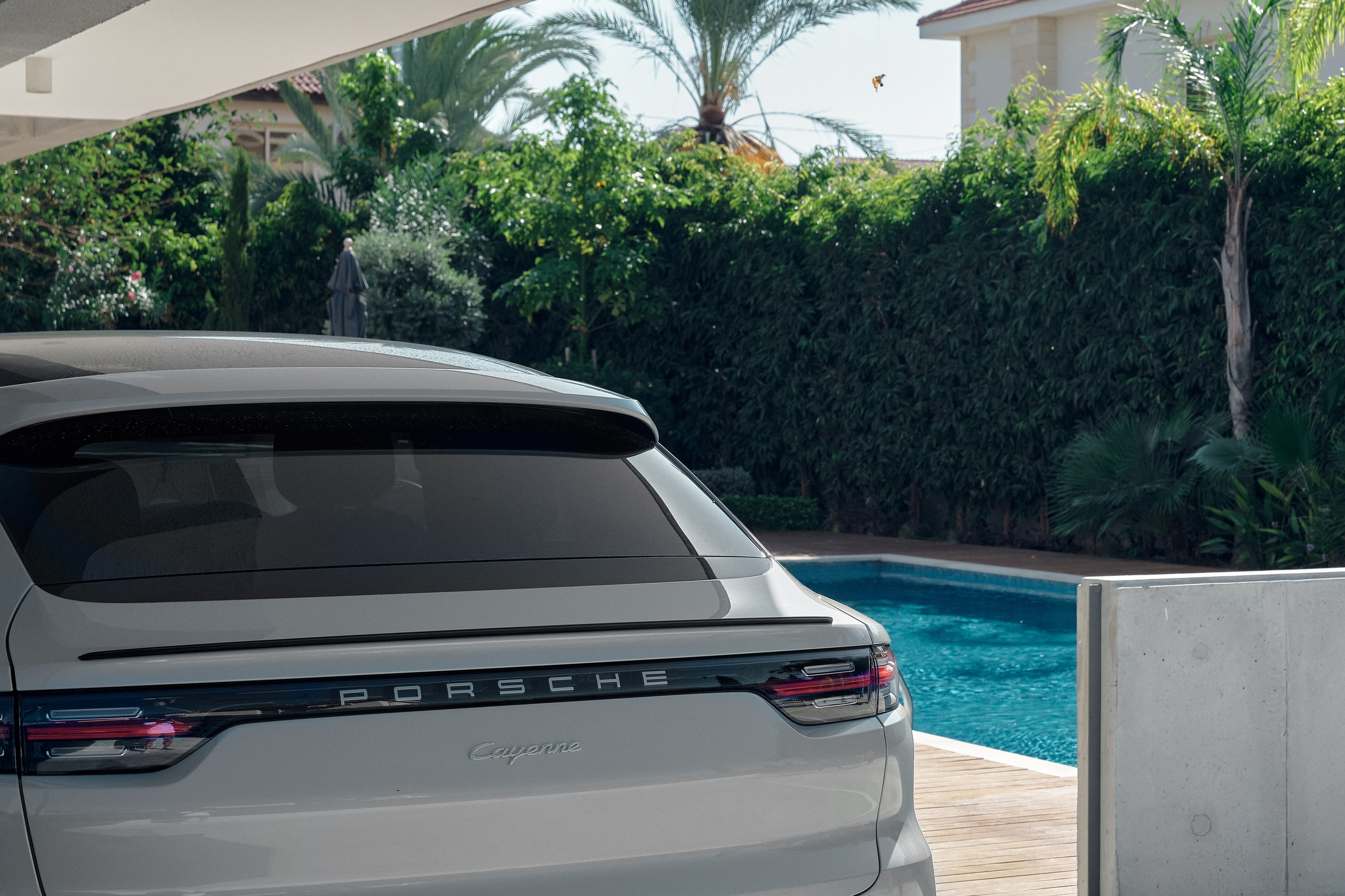 Interior photos. Aleksandr Kobtsev