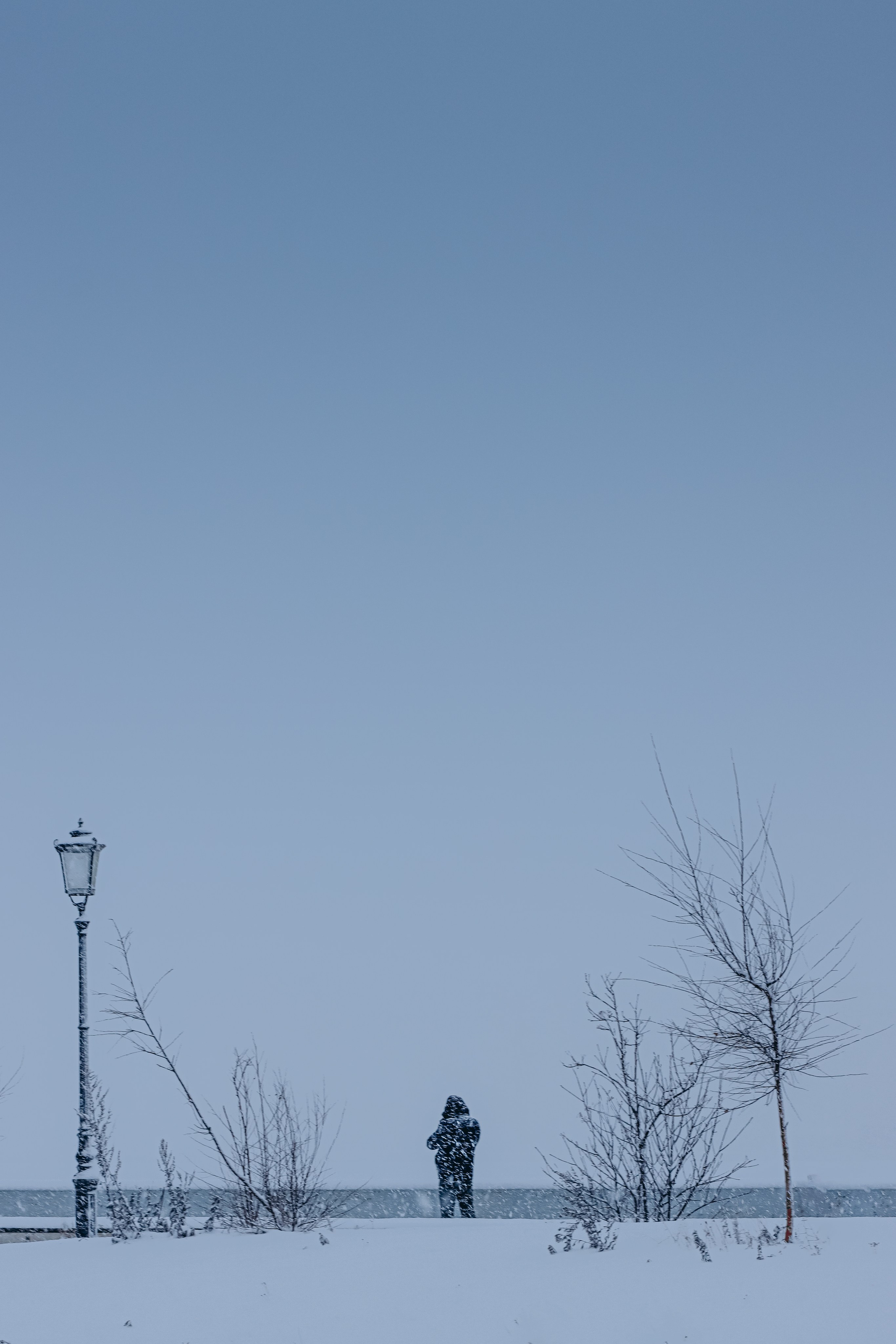 Вантовый мост у Газпром Арены. Фотограф | Данил Шукан | Санкт-Петербург