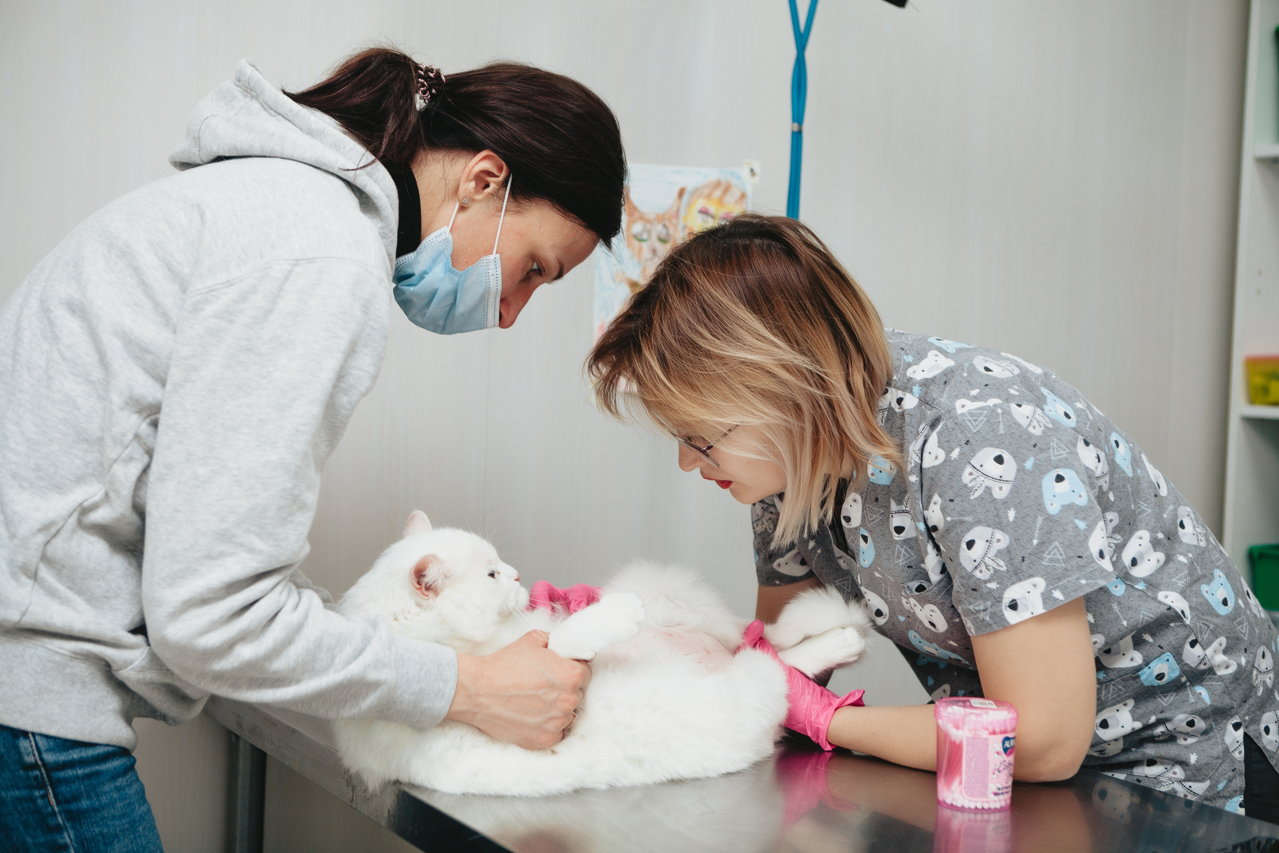 Фото для блога, для бизнеса, деловой портрет. Питерский фотограф Светлана Ковалева