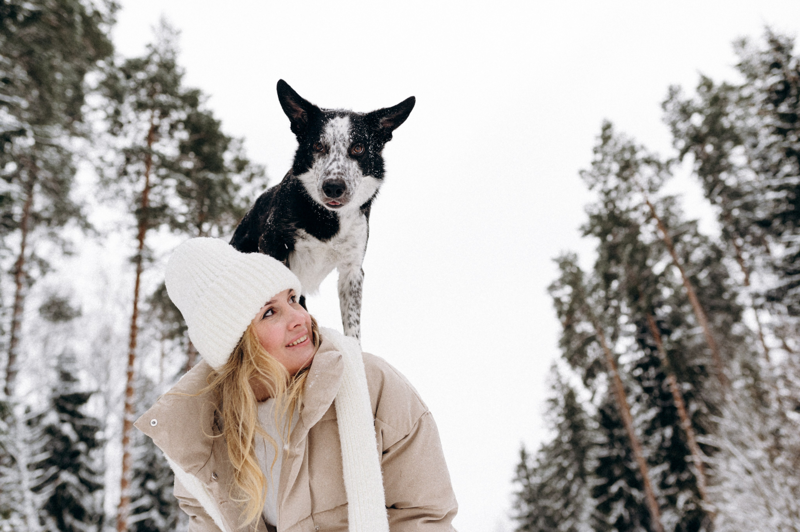 Аня и Милан. Фотограф анималист в Москве Ольга Агушева