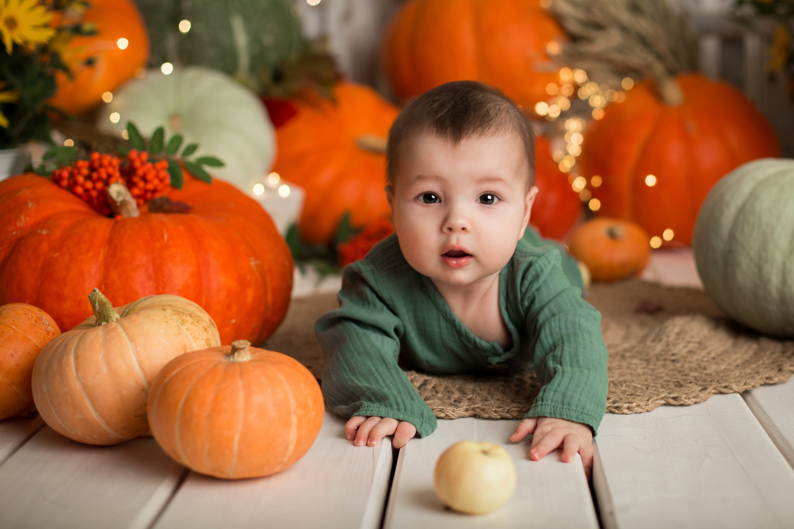 Тематические фотопроекты. Главная