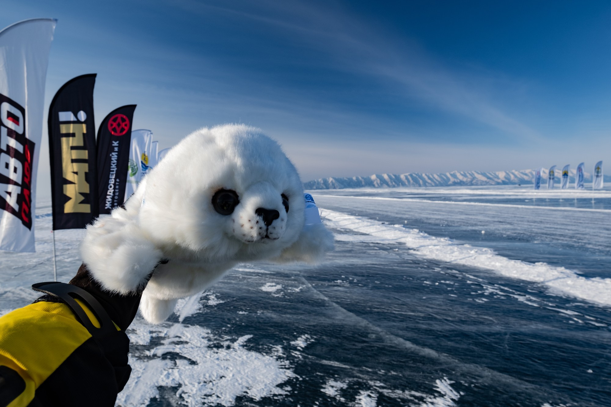 Байкальская Миля. Автоспортивный бренд фотограф в Москве — Виктория Логинова