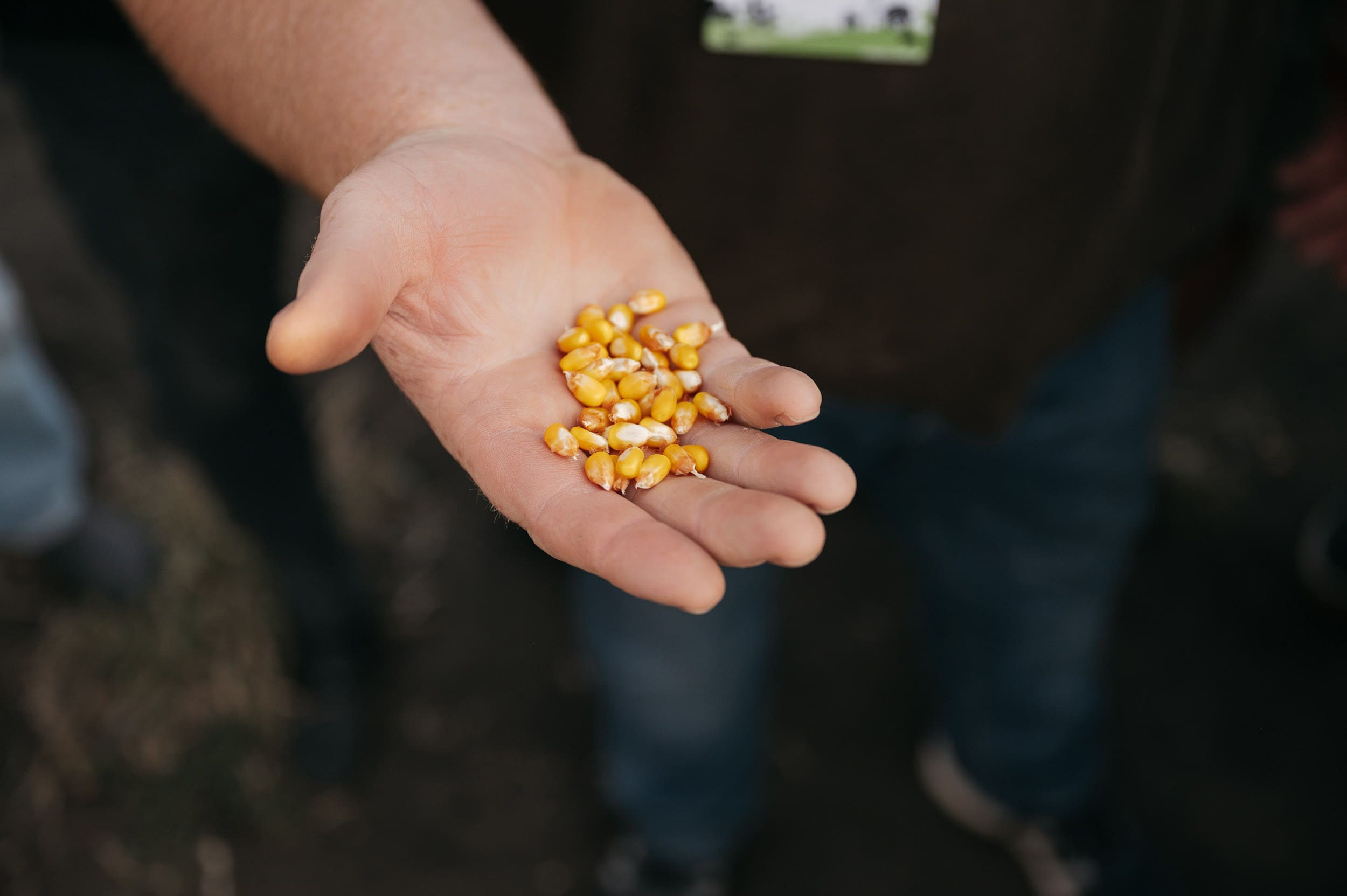 LIDEA. Владимир Дьяконов — Индустриальный и репортажной фотограф в России