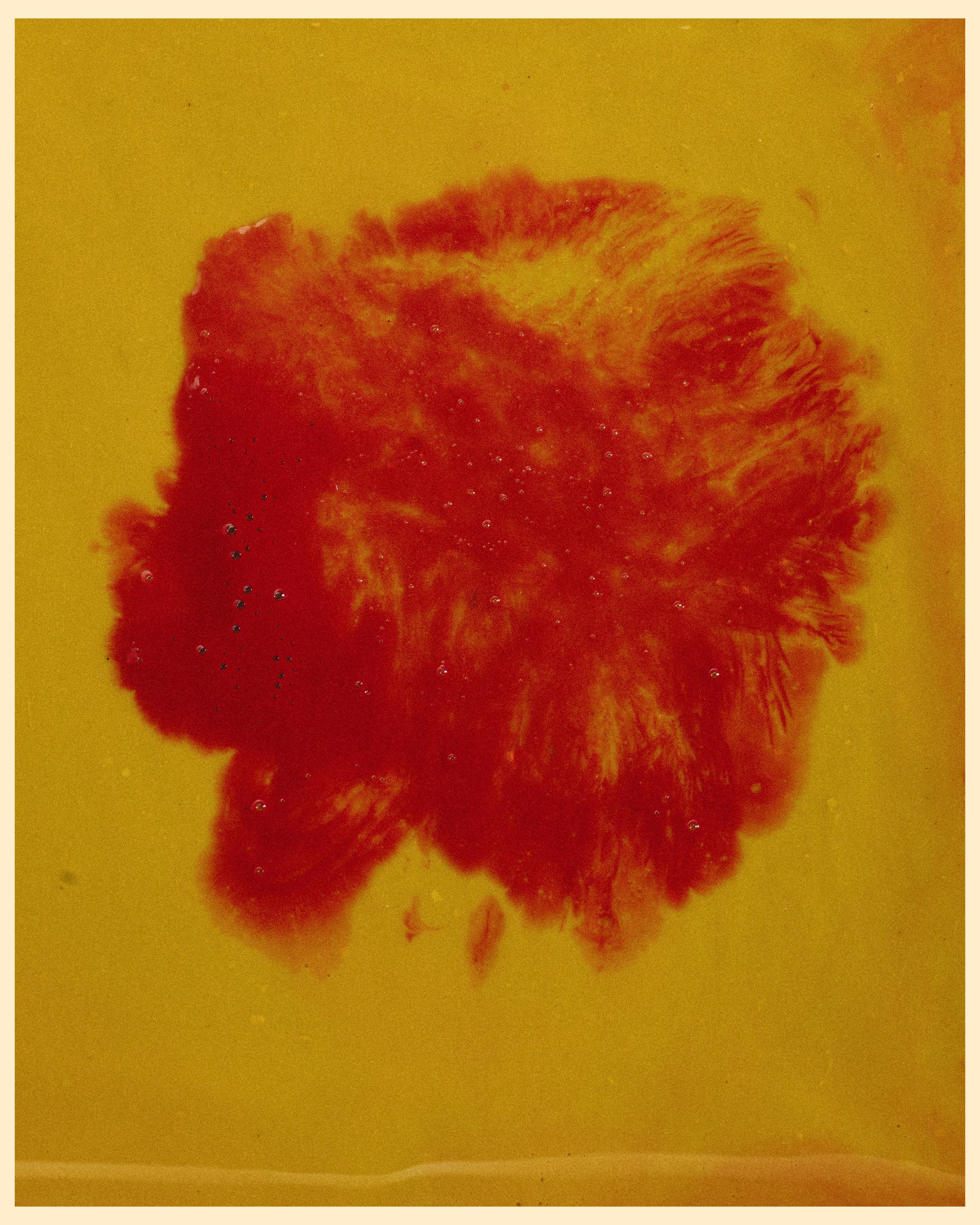 CHA X VANO. Ivan Petrov photographer