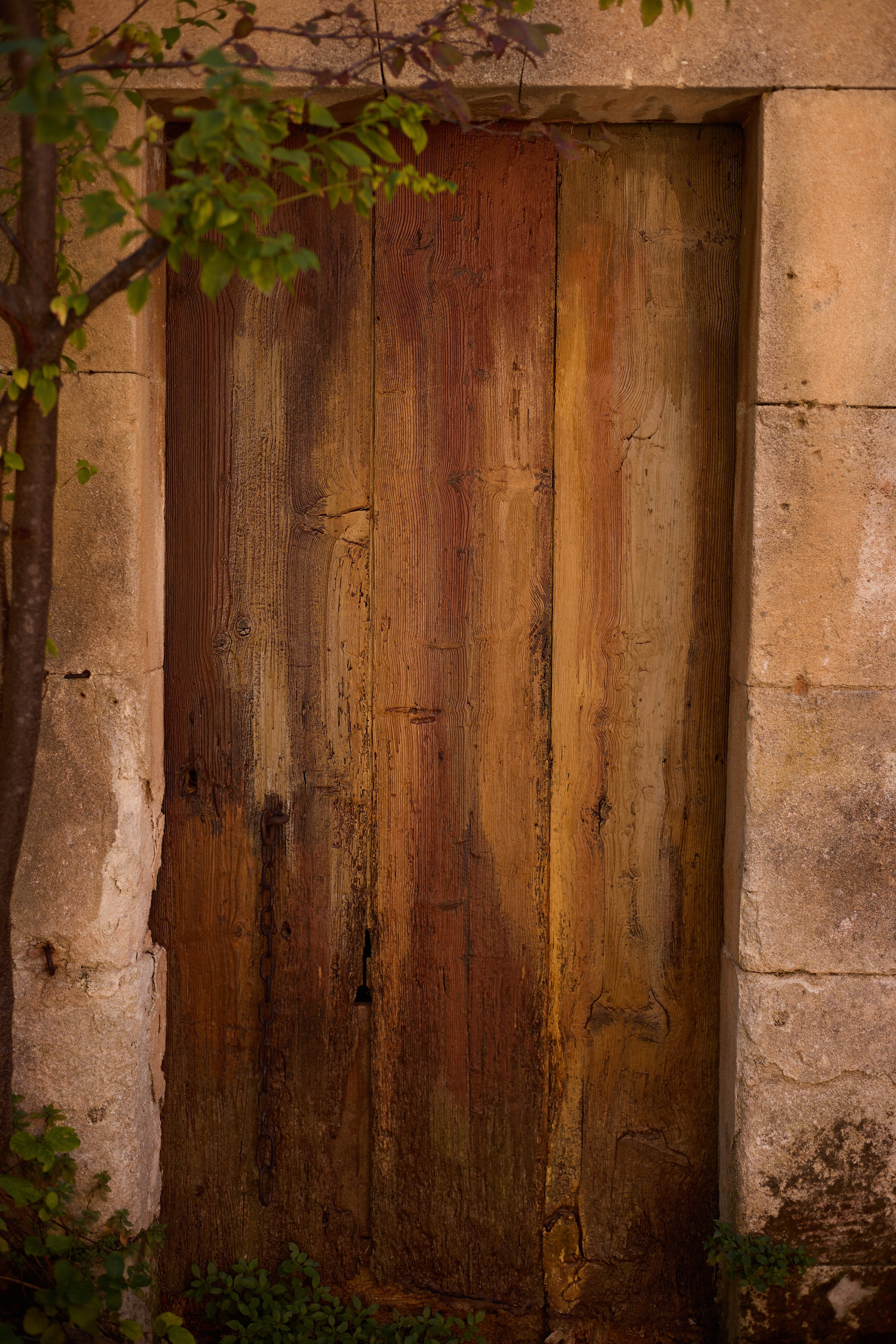 France (Provence & Paris) Sep'25. Анастасия Зобнинá — фотограф в Санкт-Петербурге/СПб