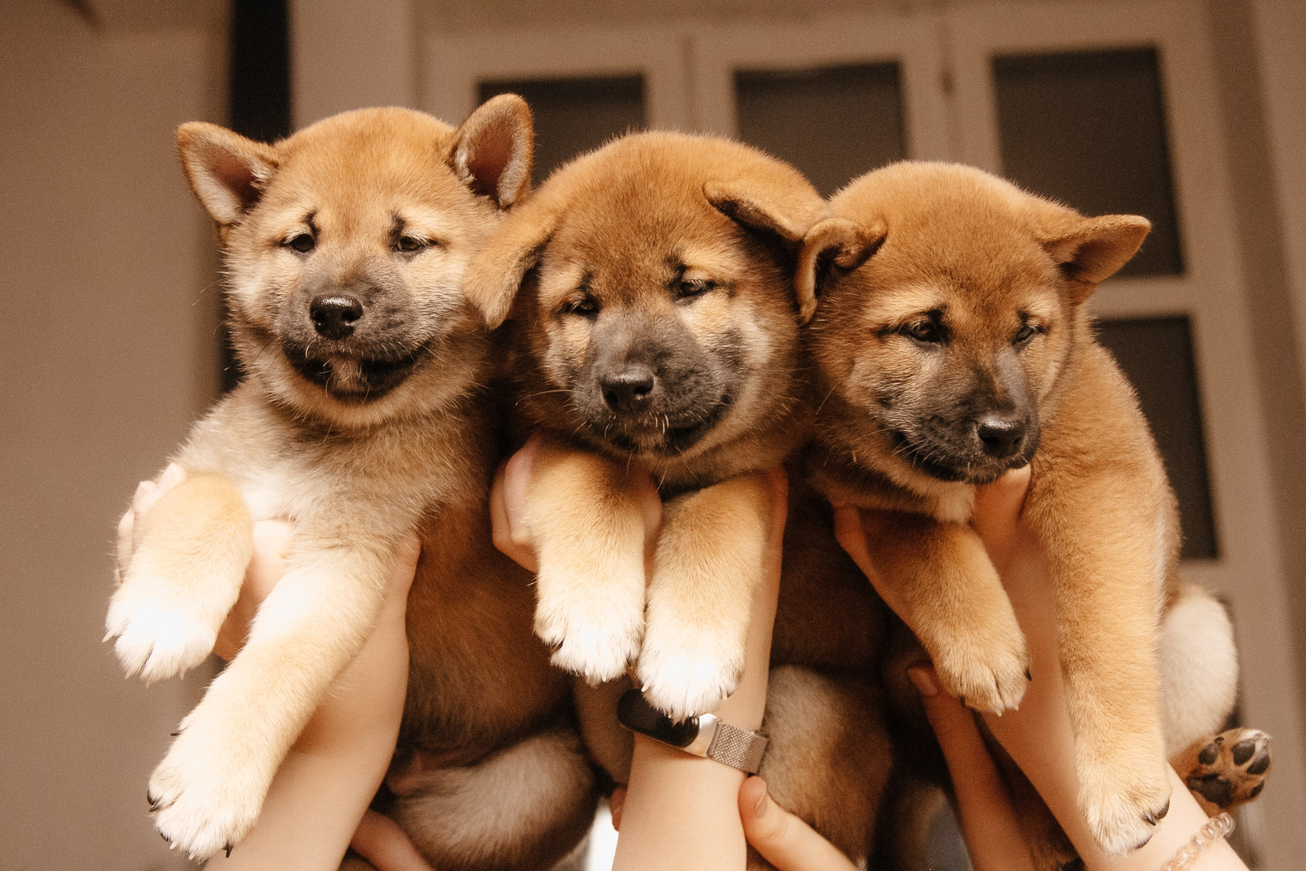LOVE. Семейный фотограф Казань Никита Федин