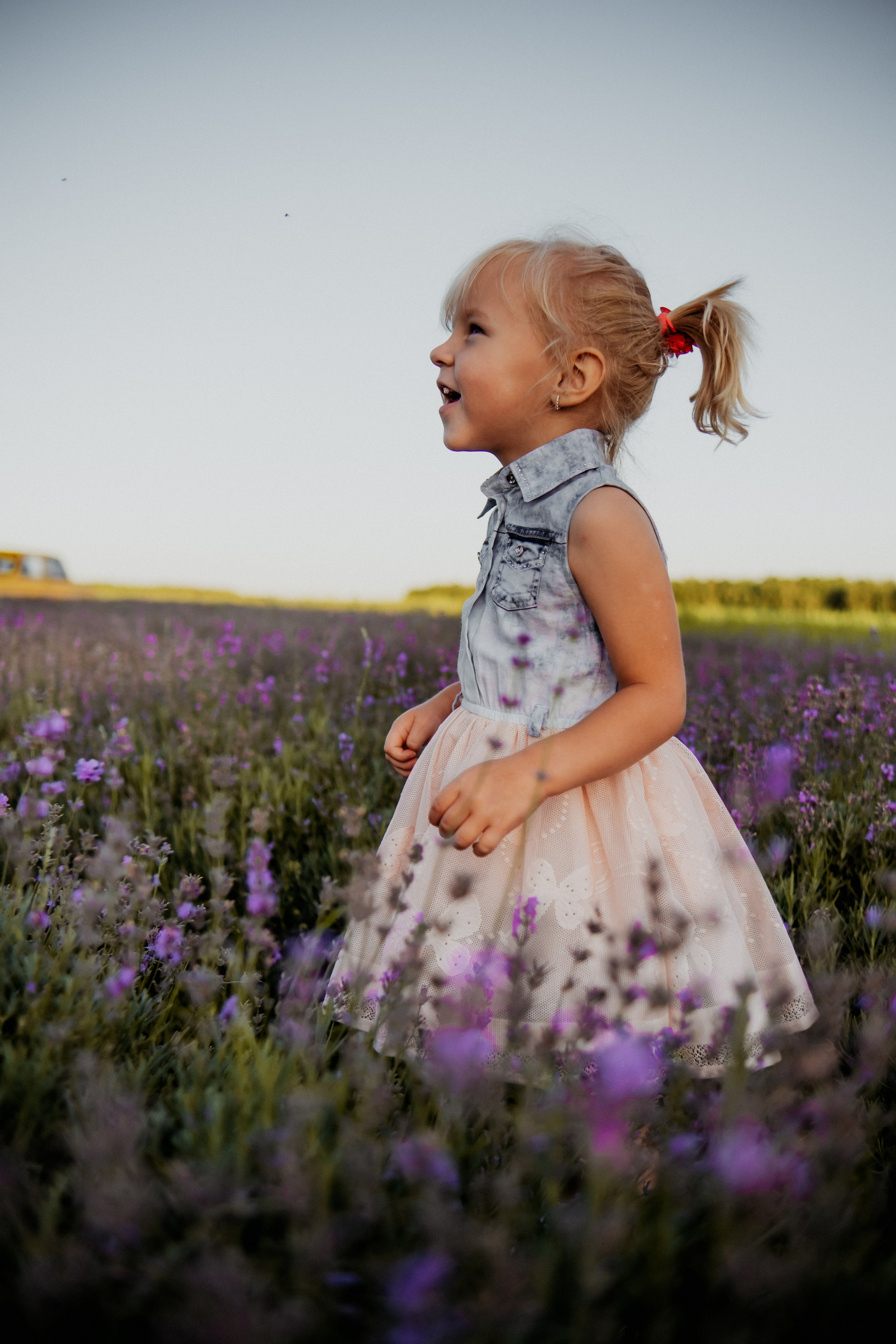 Семейная съемка в лованде. Nattie.ph