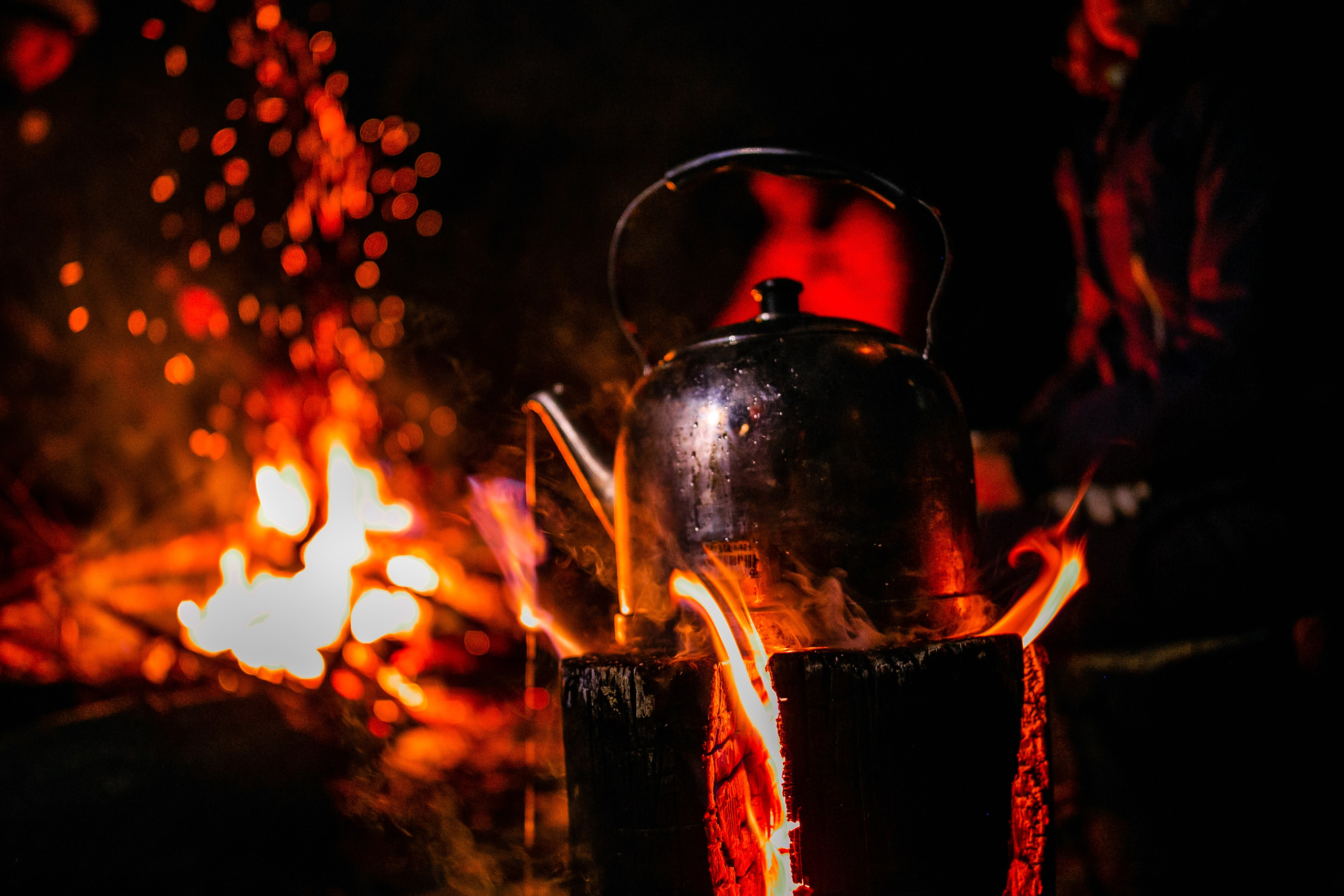 Фототуры в Карачаево-Черкессии 2019-2020. Фотограф-анималист Ксендзова Кристина