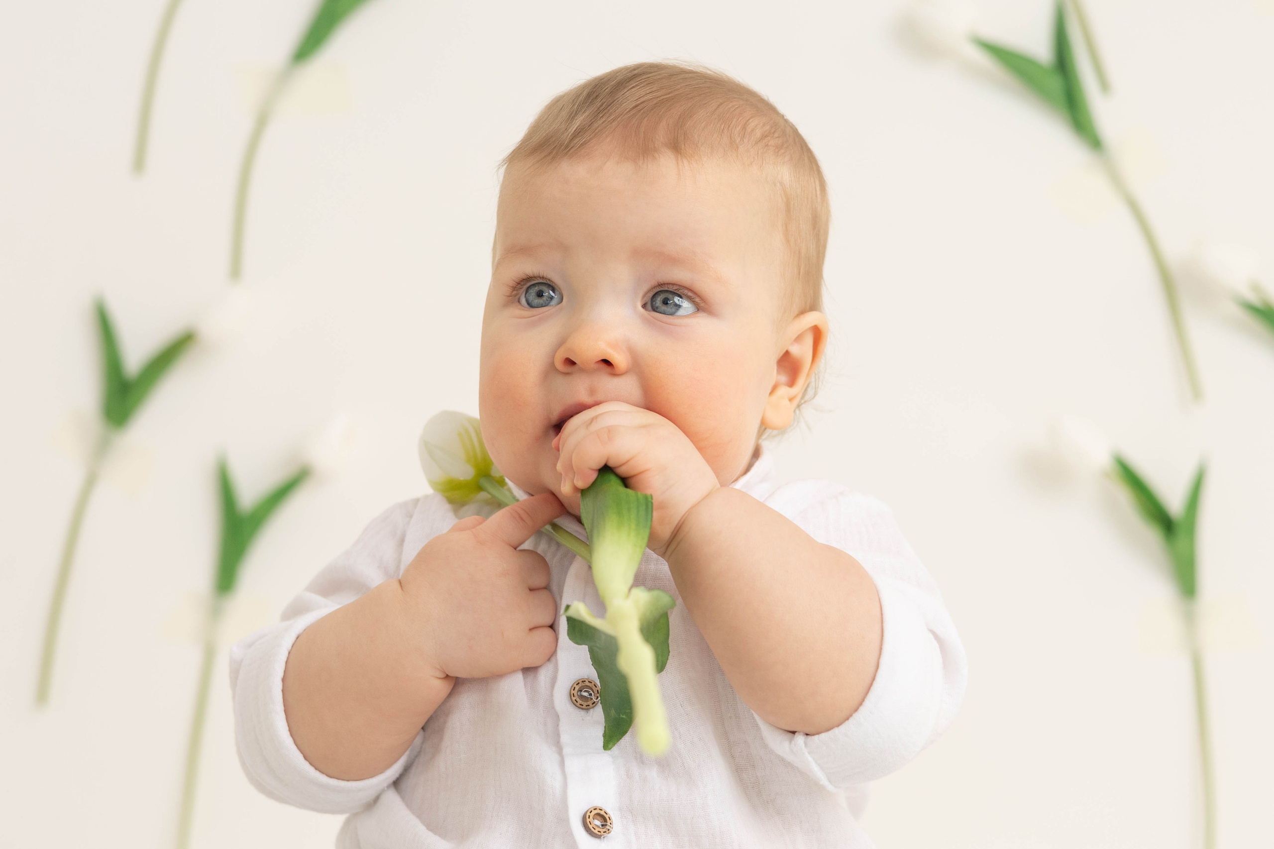 «Весна». «Вкадре» — фотосессия новорожденных Тула | детский фотограф в Туле