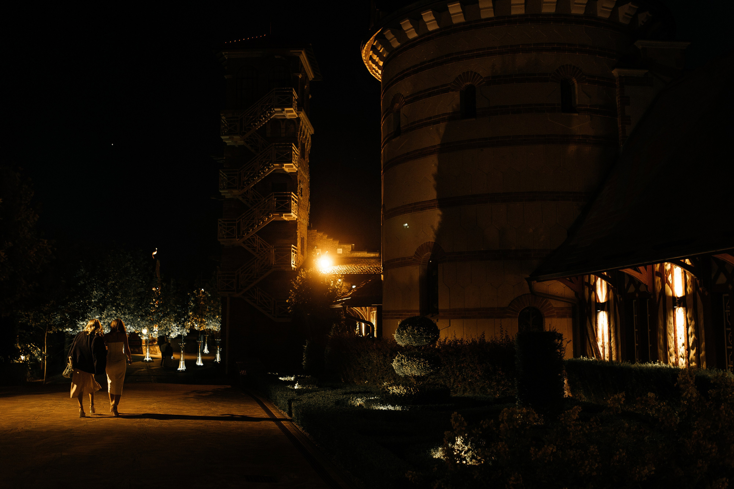 Alexander & Yana. Свадебный организатор в Ростове-на-Дону Яснов Роман