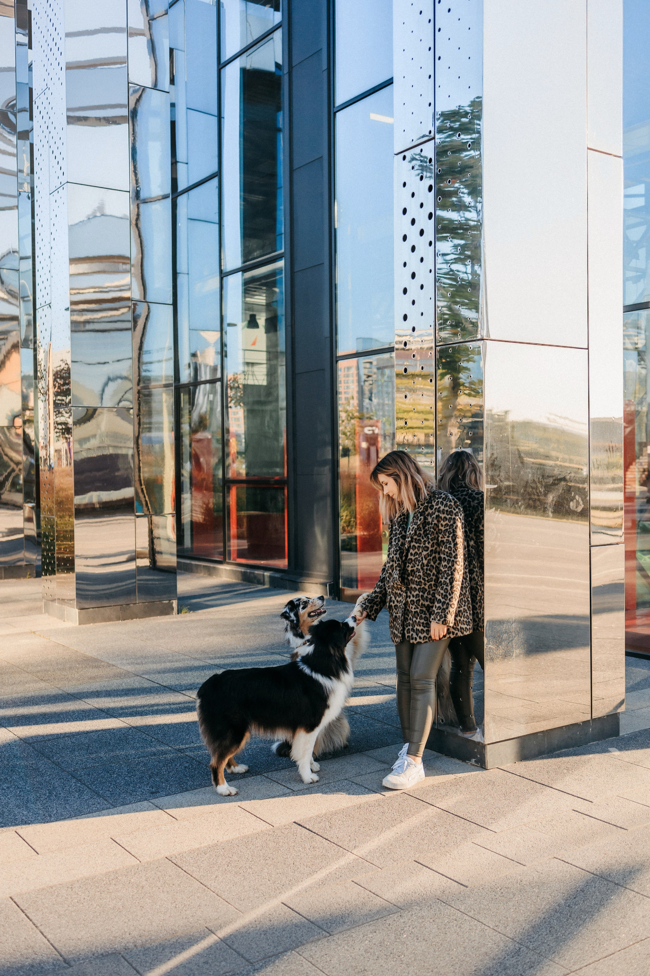 Аня, Чарли и Ева. Фотограф-анималист Елена Радченко, Москва