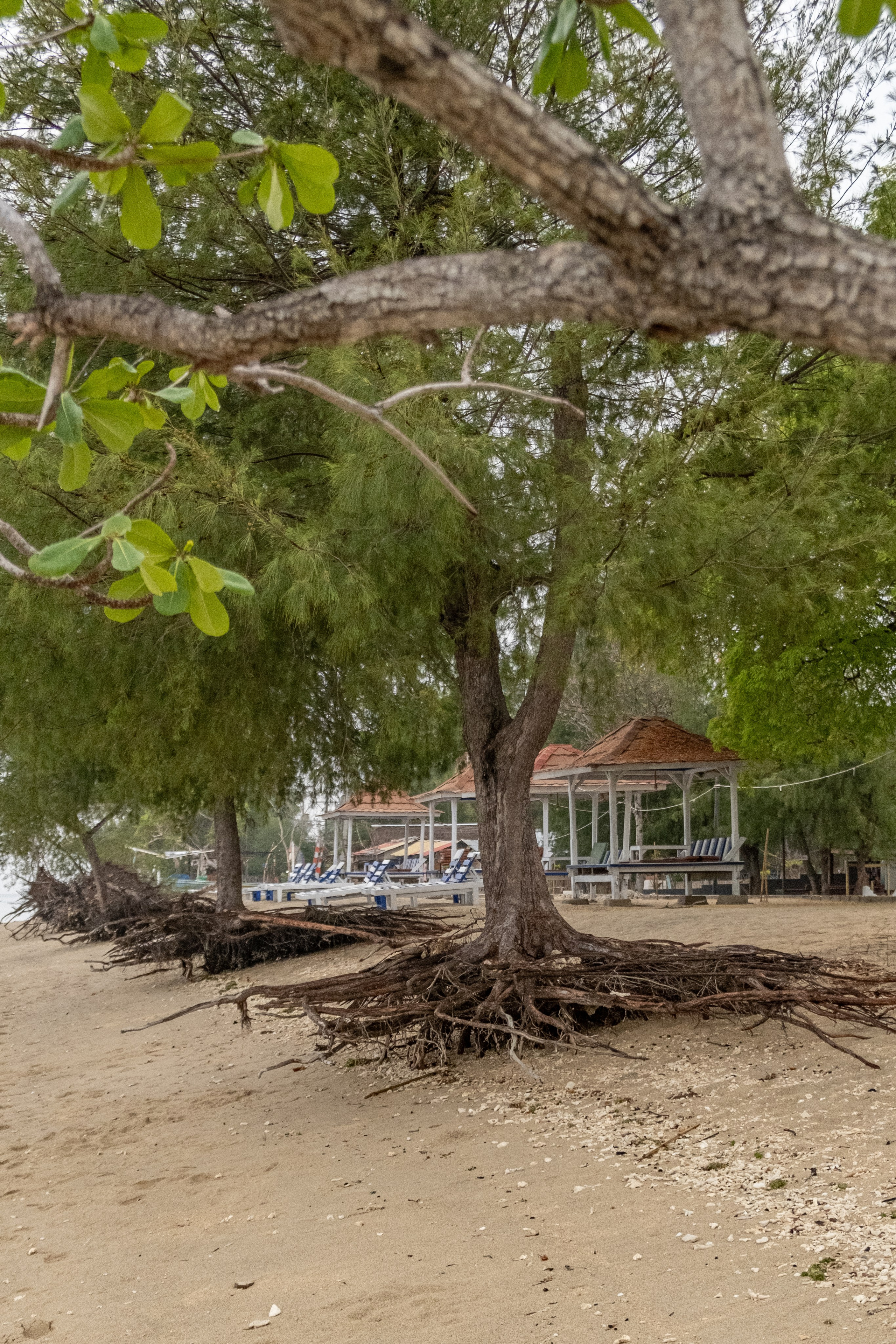 Остров Гили Эйр. Фотографии из путешествий