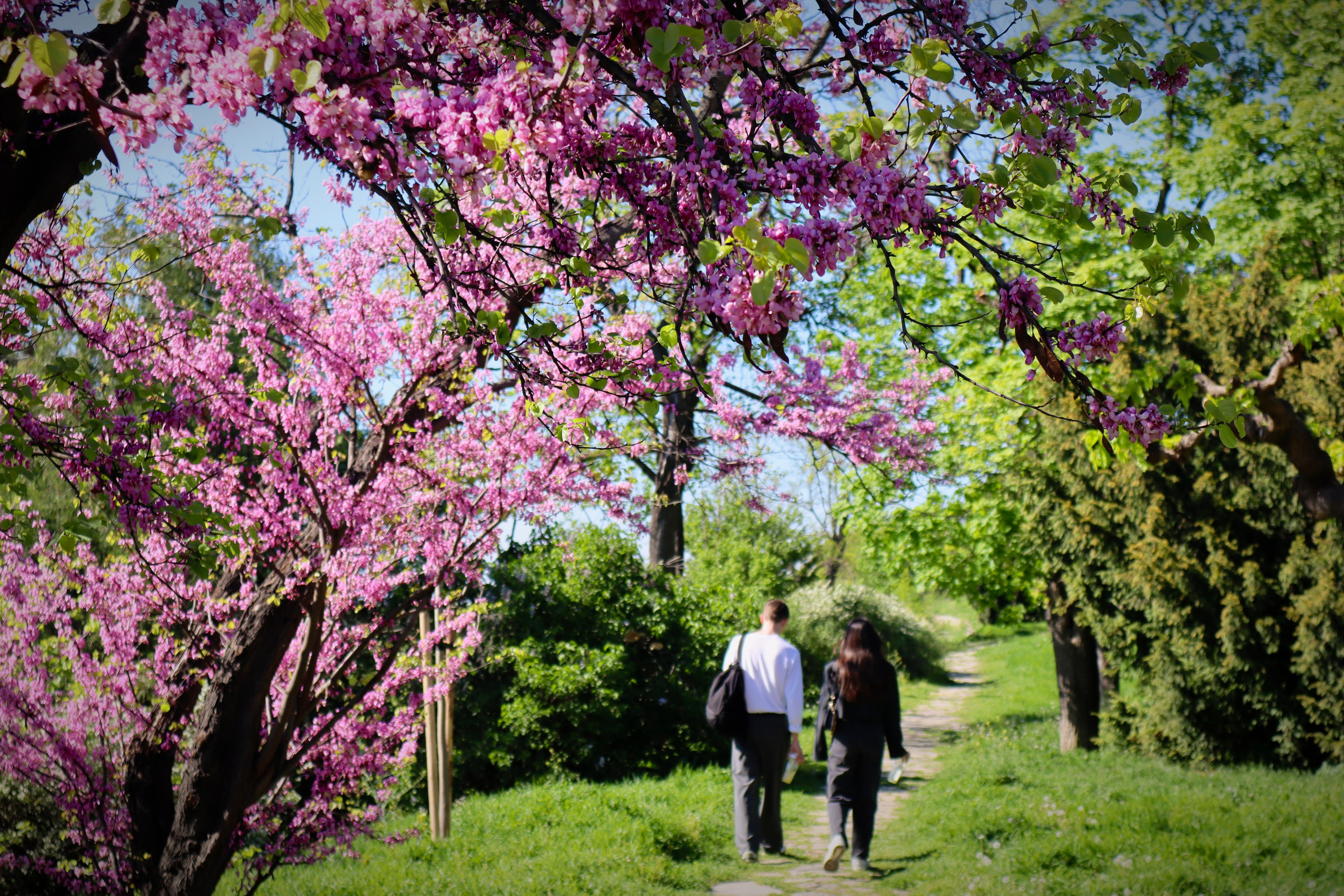 Travel photographer Ksenia